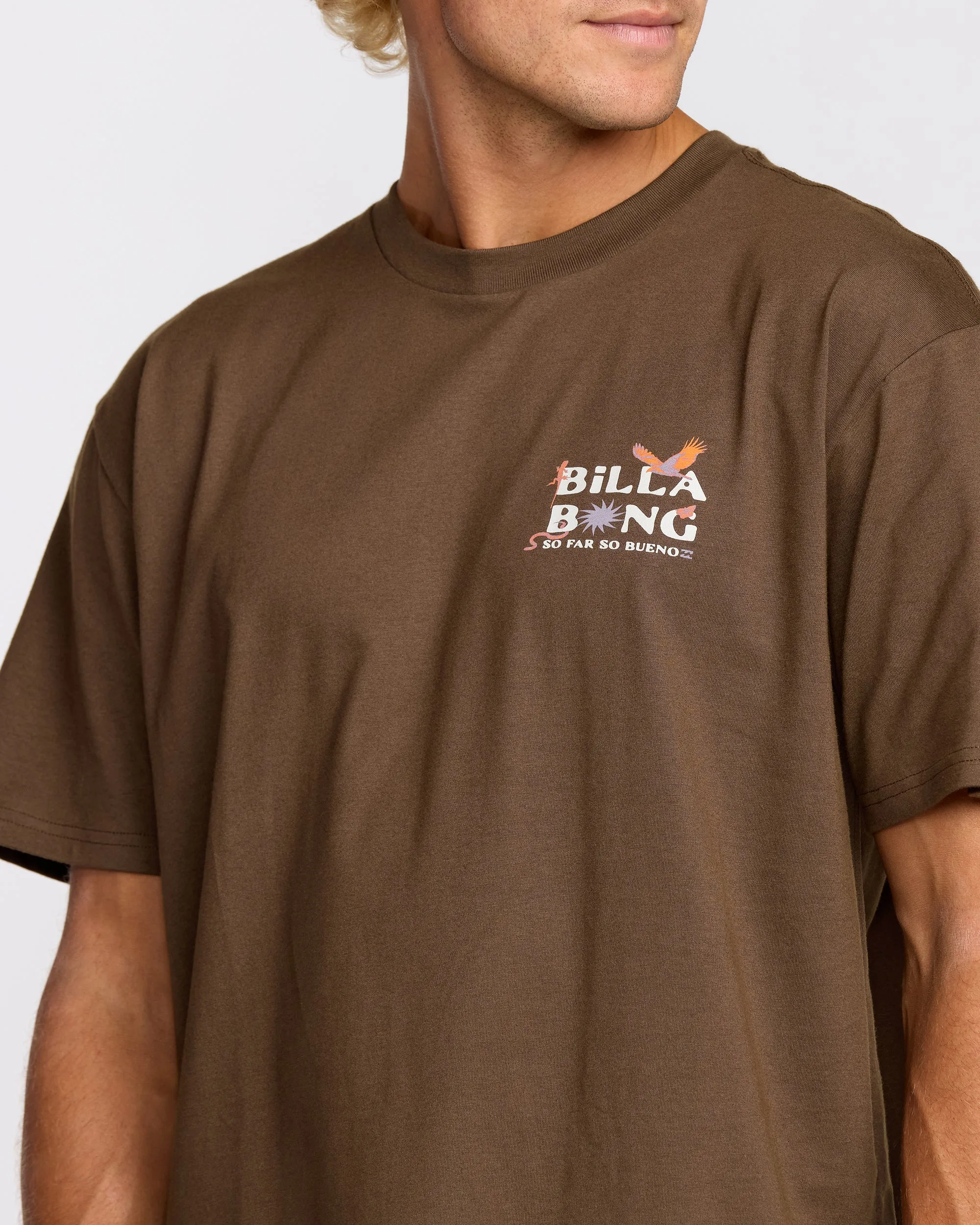 Land To Sea Regular Short Sleeve T-Shirt - Rustic Brown sold by Billabong product image thumbnail 5