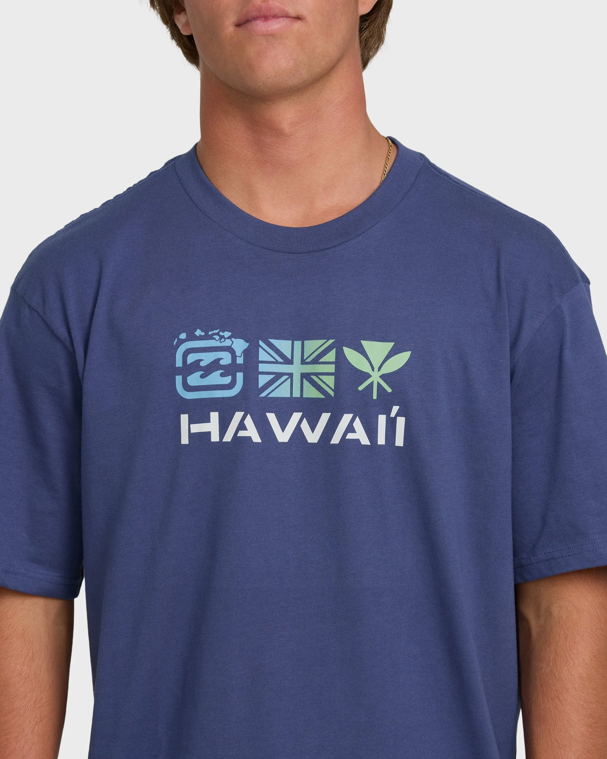 Kahili Hawaii Regular Tee - Washed Blue sold by Billabong product image thumbnail 5