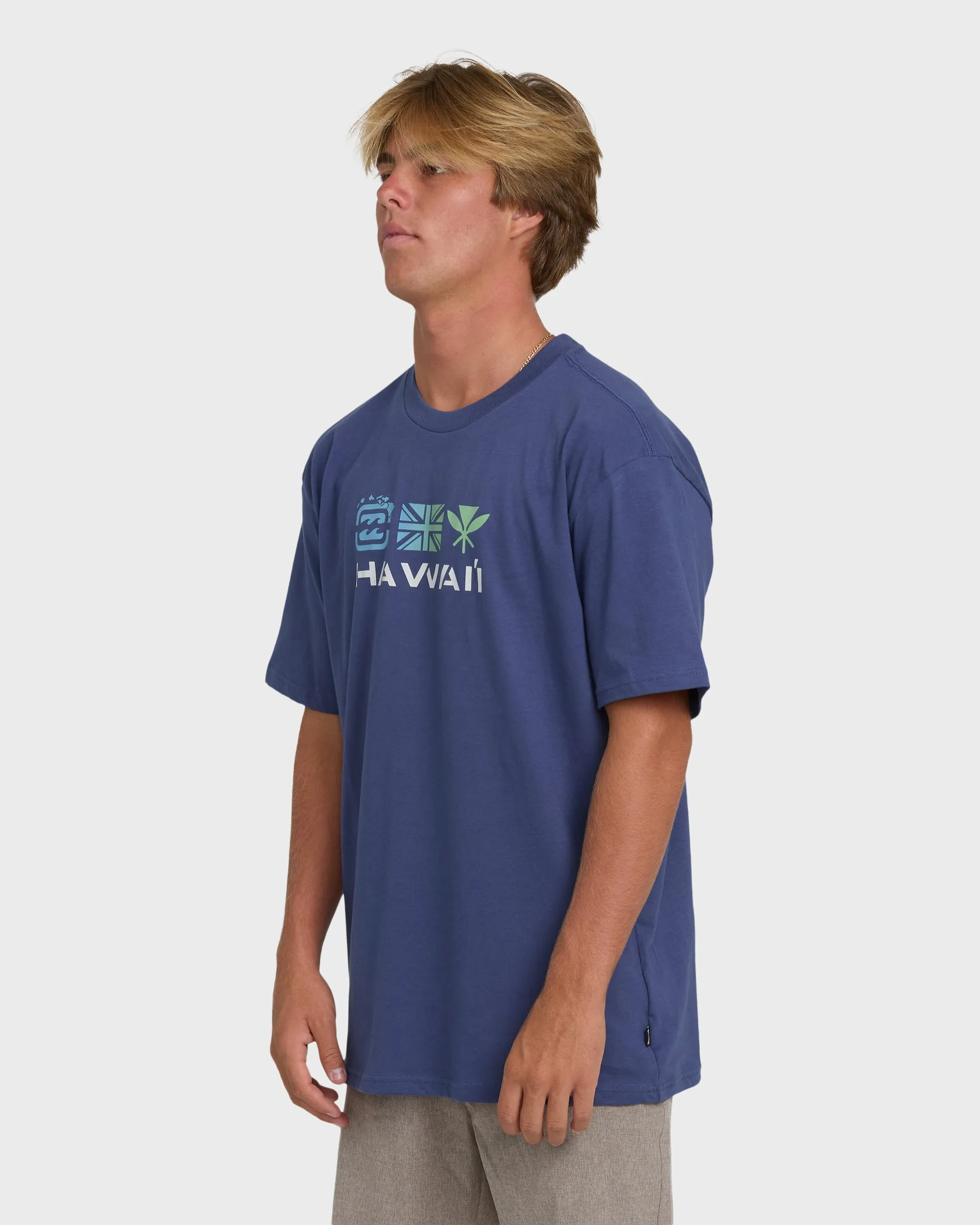 Kahili Hawaii Regular Tee - Washed Blue sold by Billabong product image thumbnail 4