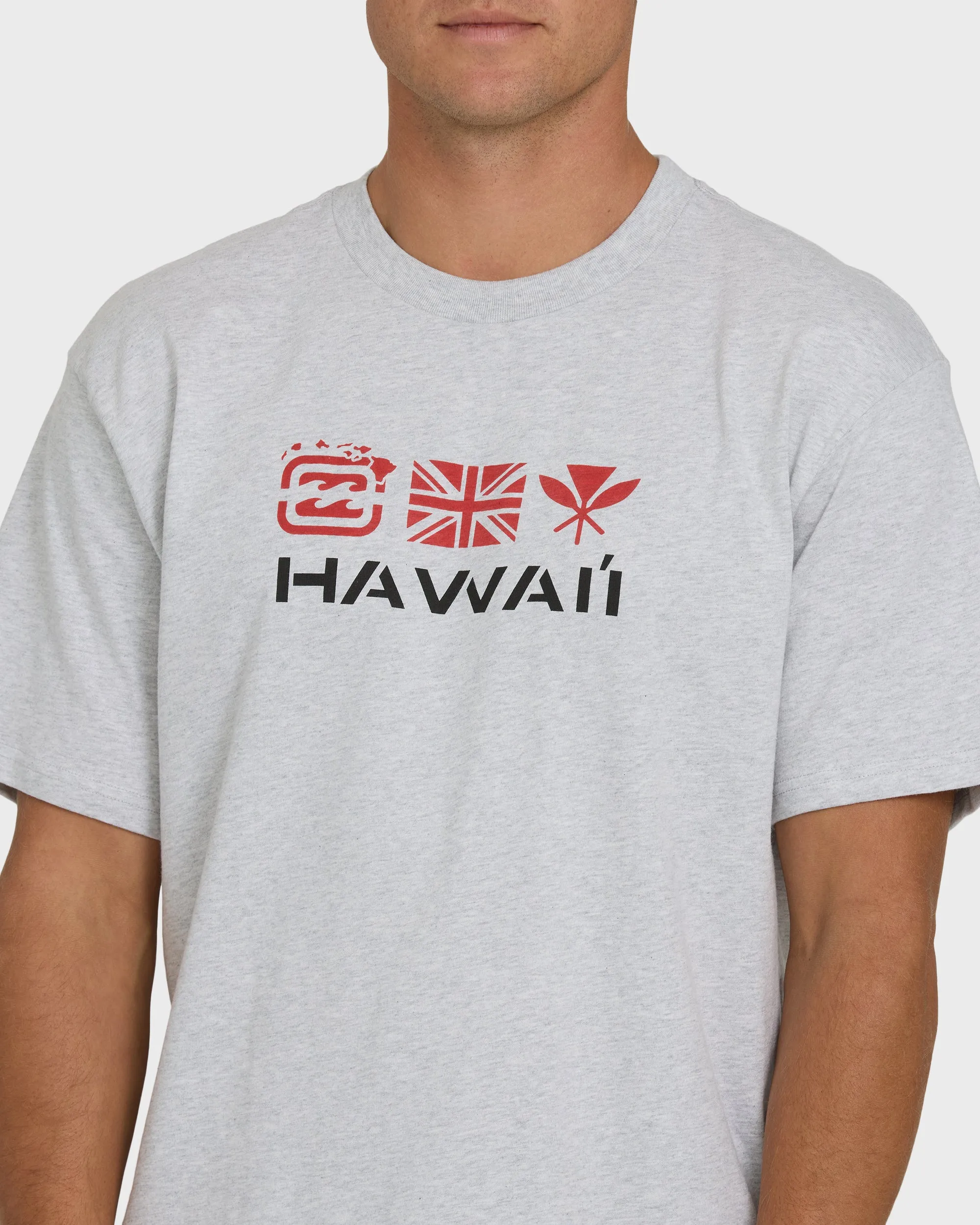 Kahili Hawaii Regular Short Sleeve Tee - Heather Gray sold by Billabong product image thumbnail 5