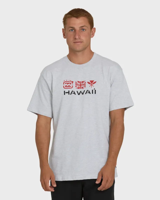 Kahili Hawaii Regular Short Sleeve Tee - Heather Gray sold by Billabong
