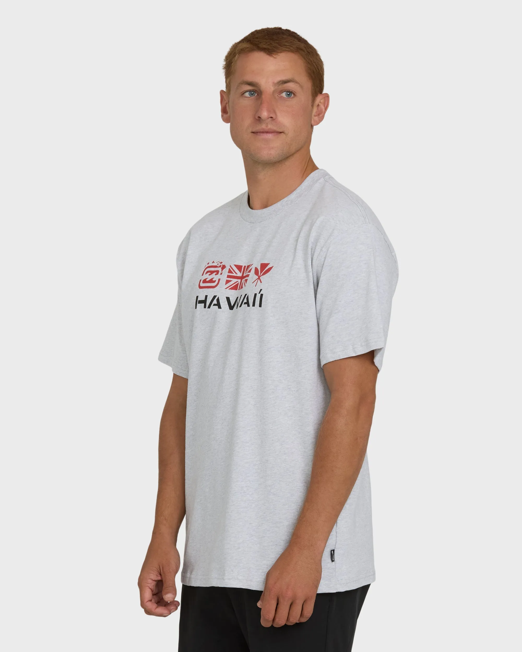 Kahili Hawaii Regular Short Sleeve Tee - Heather Gray sold by Billabong product image thumbnail 4