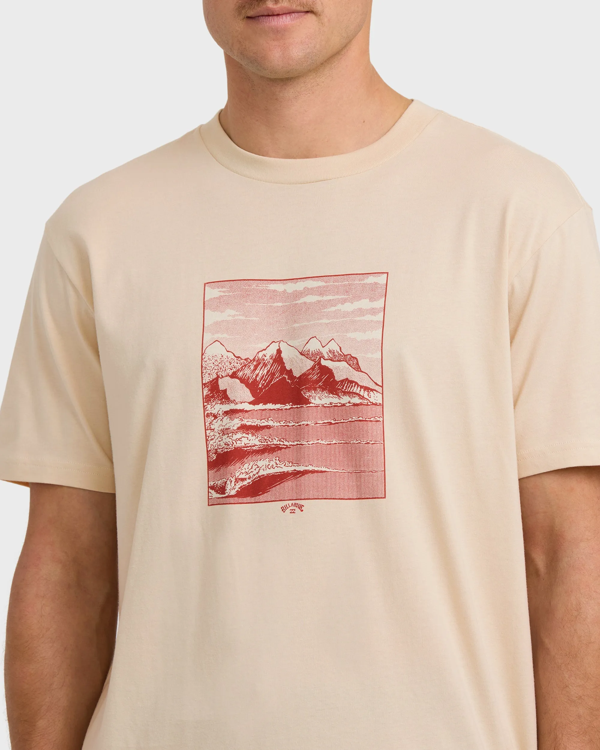 A/Div Up The Point Short Sleeve T-Shirt - Chino sold by Billabong product image thumbnail 5