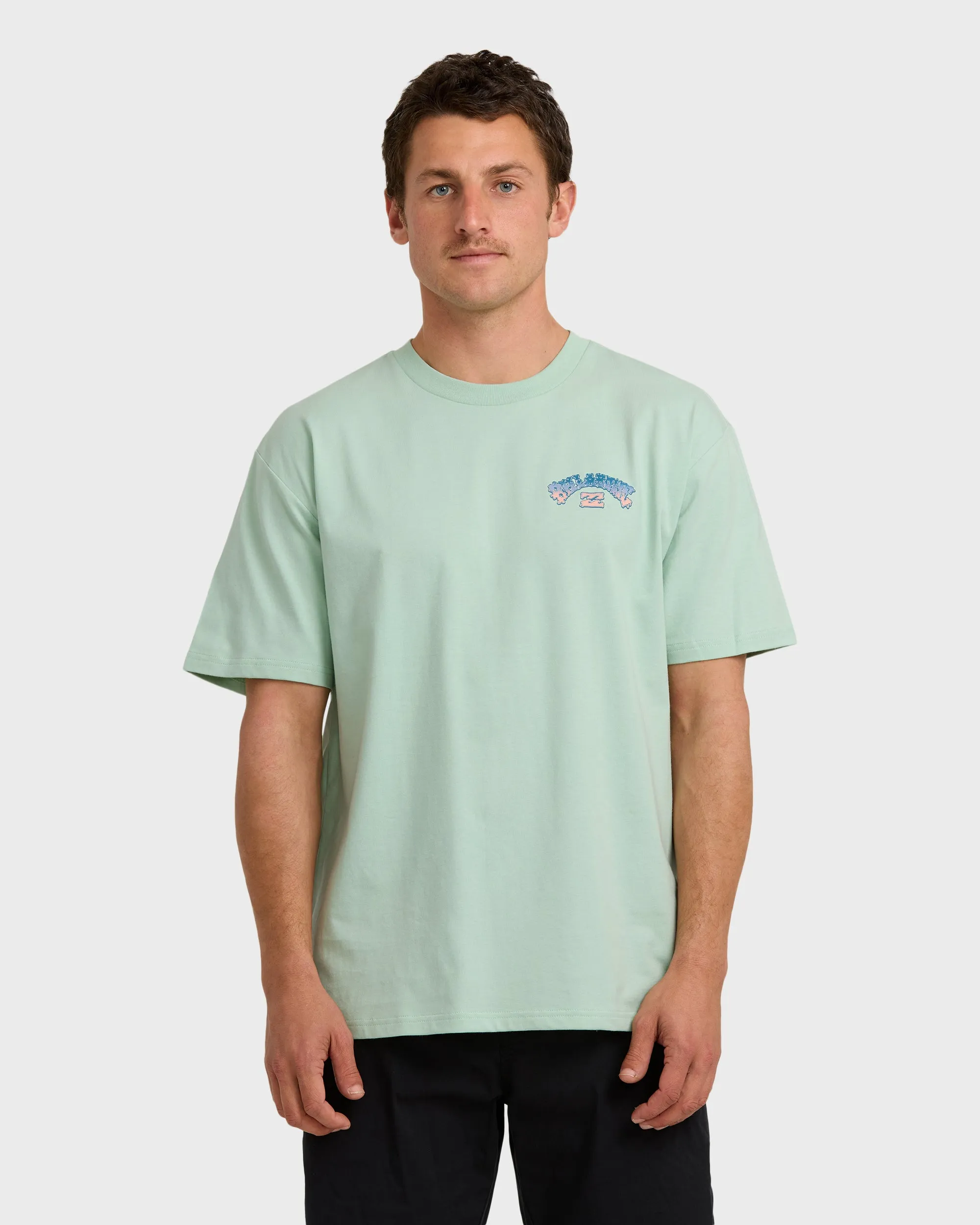 Wax Arch Regular Short Sleeve T-Shirt - Seafoam sold by Billabong