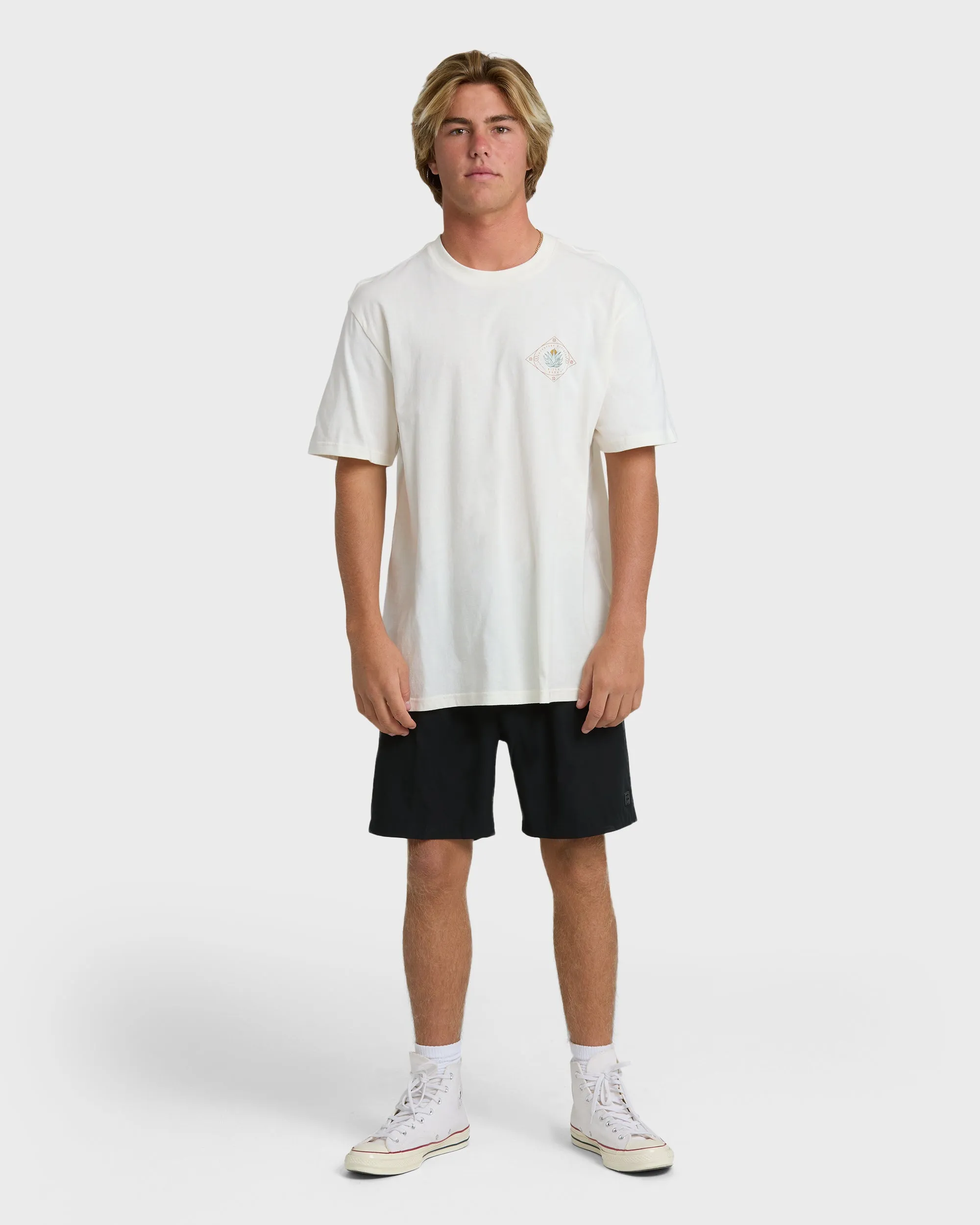 Agave Adiv Premium Short Sleeve T-Shirt - Off White sold by Billabong product image thumbnail 4