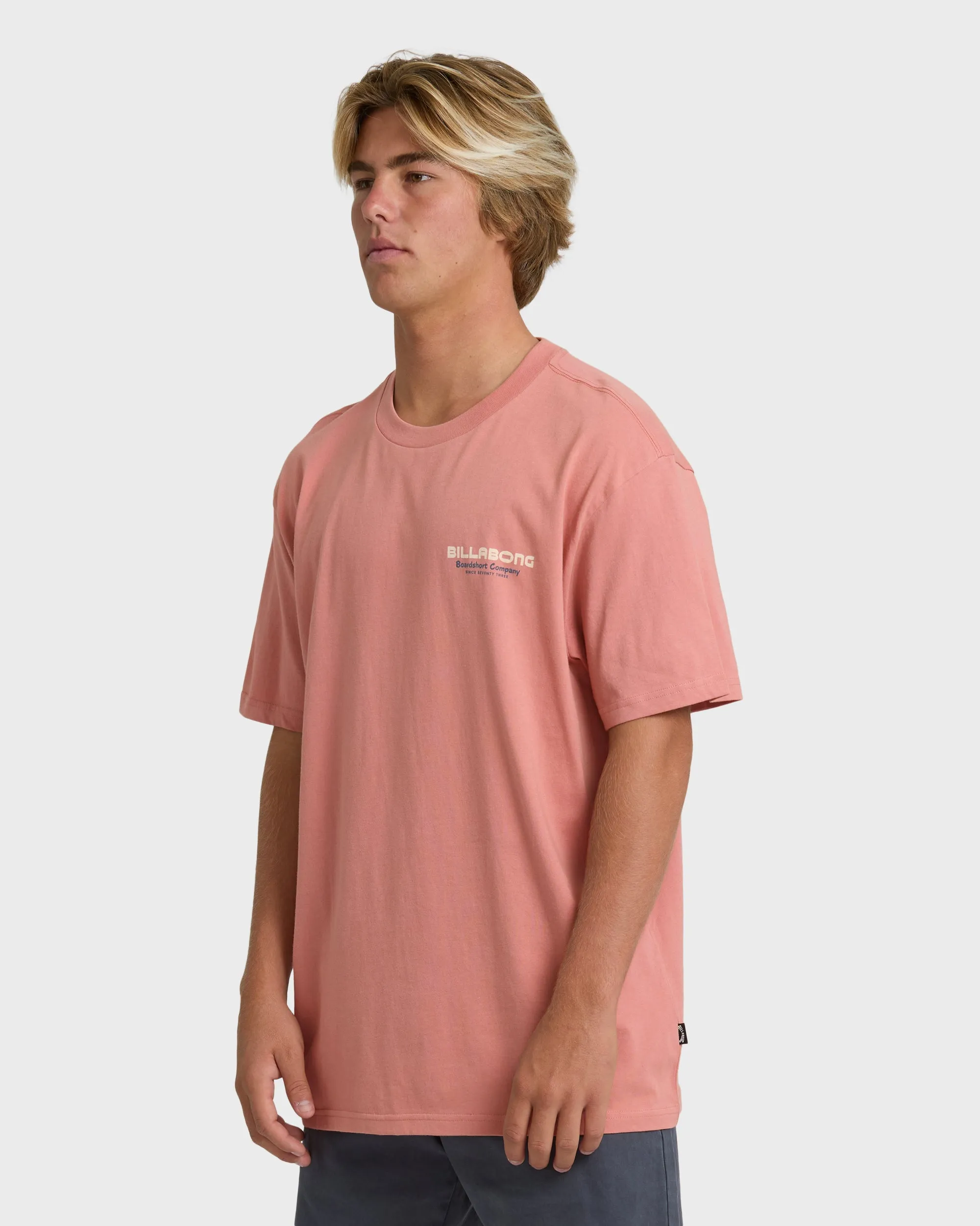 Tailgating Premium Short Sleeve T-Shirt - Ash Rose sold by Billabong product image thumbnail 3