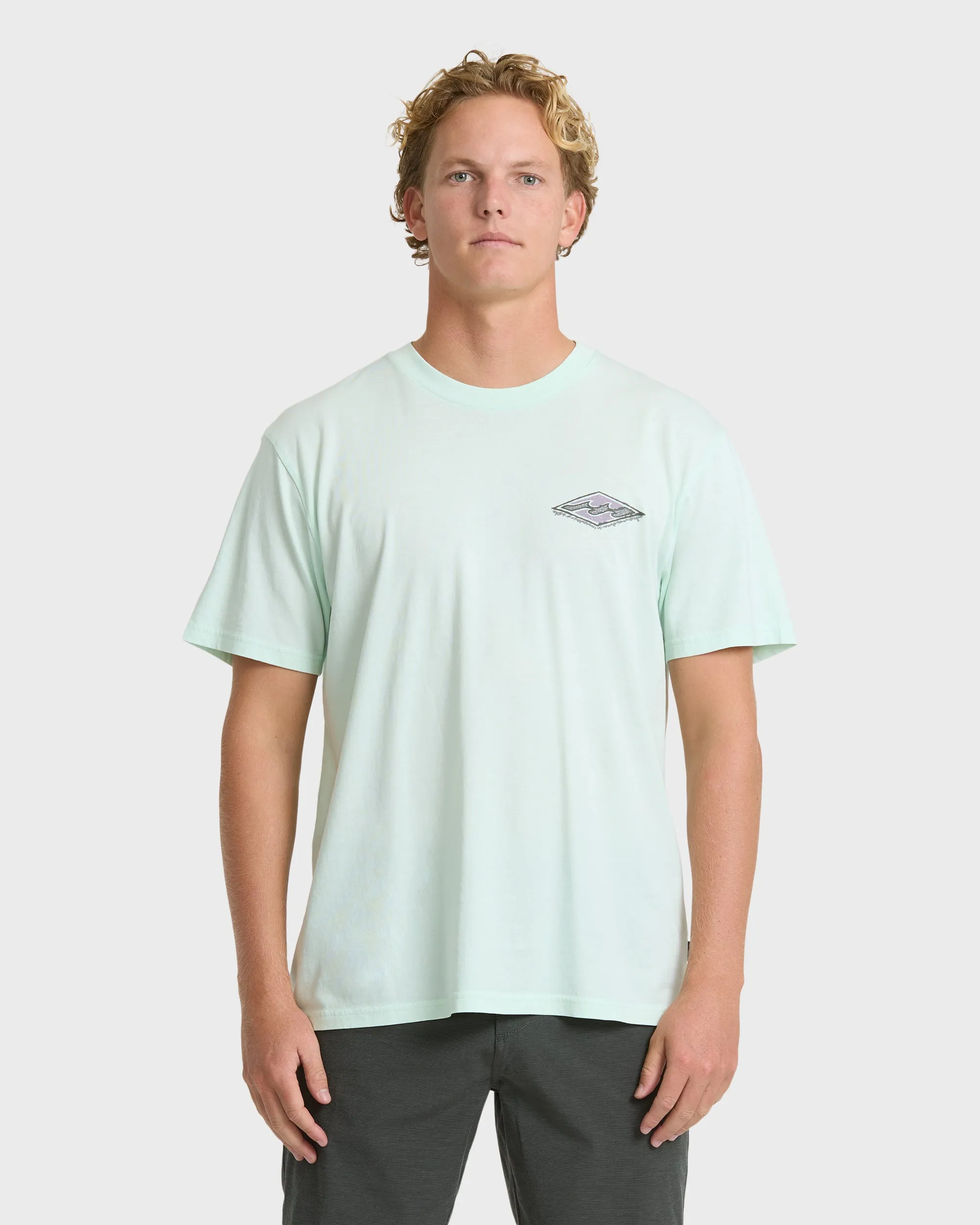Heritage Arch Wave Washed Premium Short Sleeve Knit T-Shirt - Sea Glass sold by Billabong