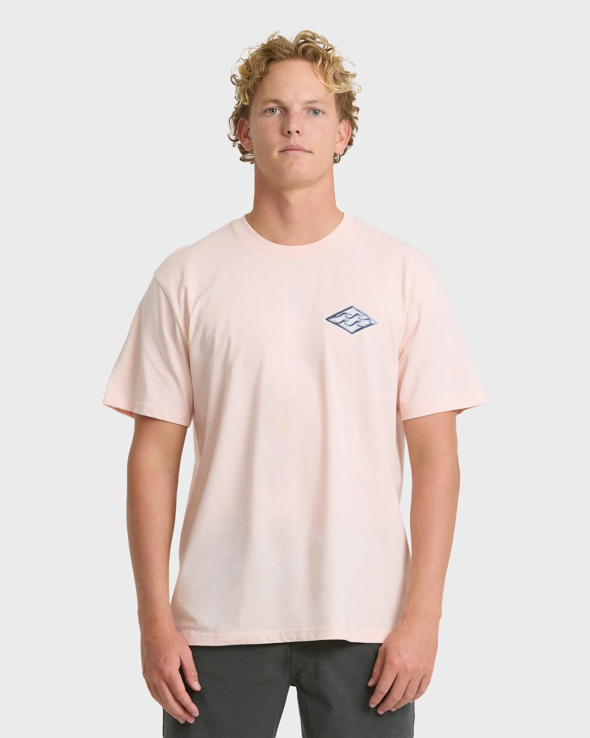 Dim Arch Premium Short Sleeve Knit T-Shirt - Light Pink sold by Billabong