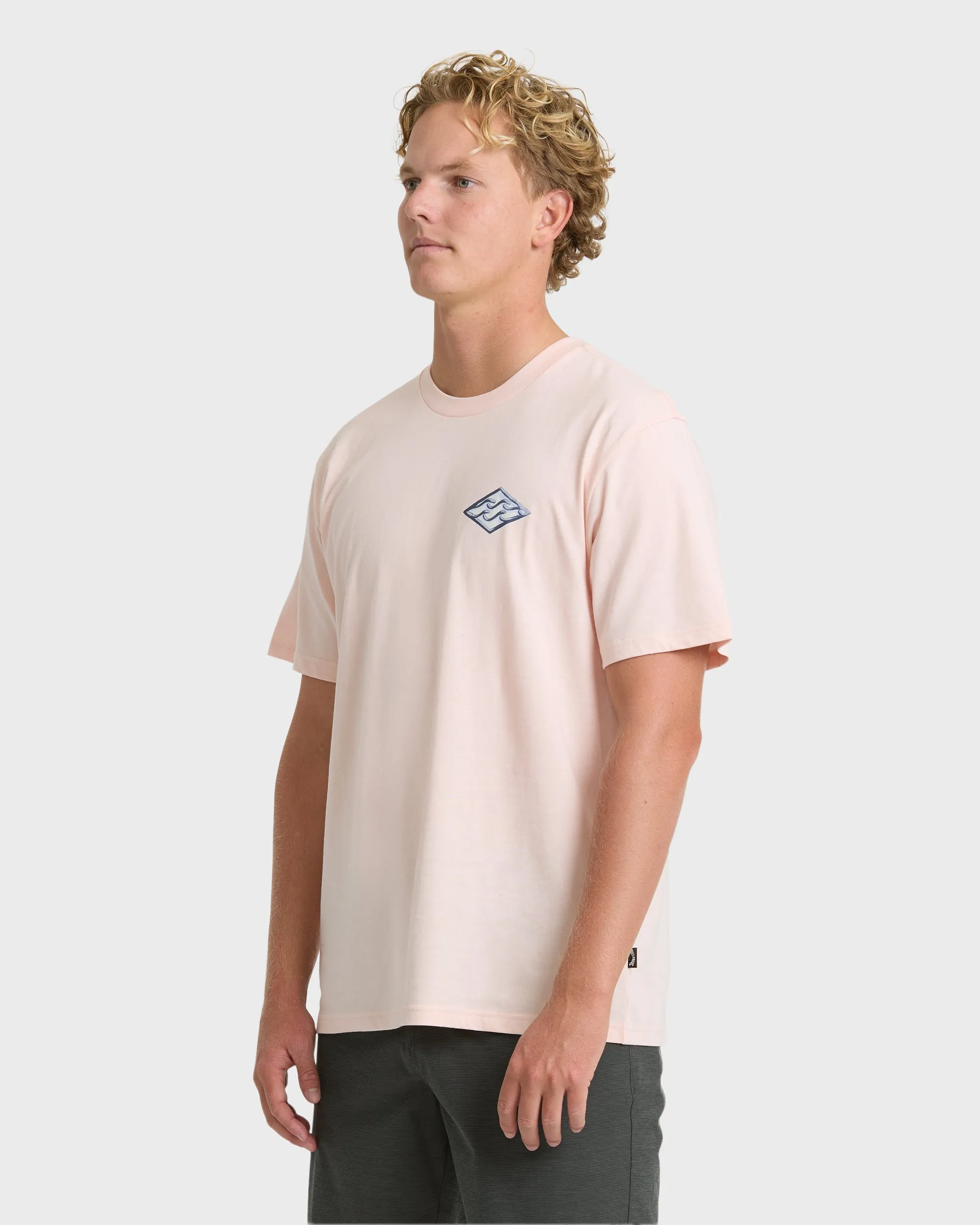 Dim Arch Premium Short Sleeve Knit T-Shirt - Light Pink sold by Billabong product image thumbnail 3