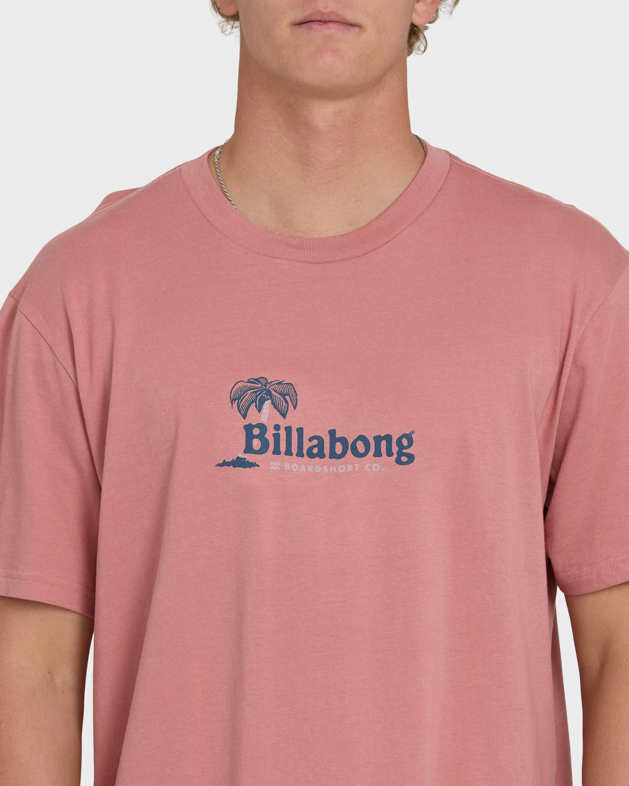 Check Out Premium Short Sleeve Knit T-Shirt - Ash Rose sold by Billabong product image thumbnail 5