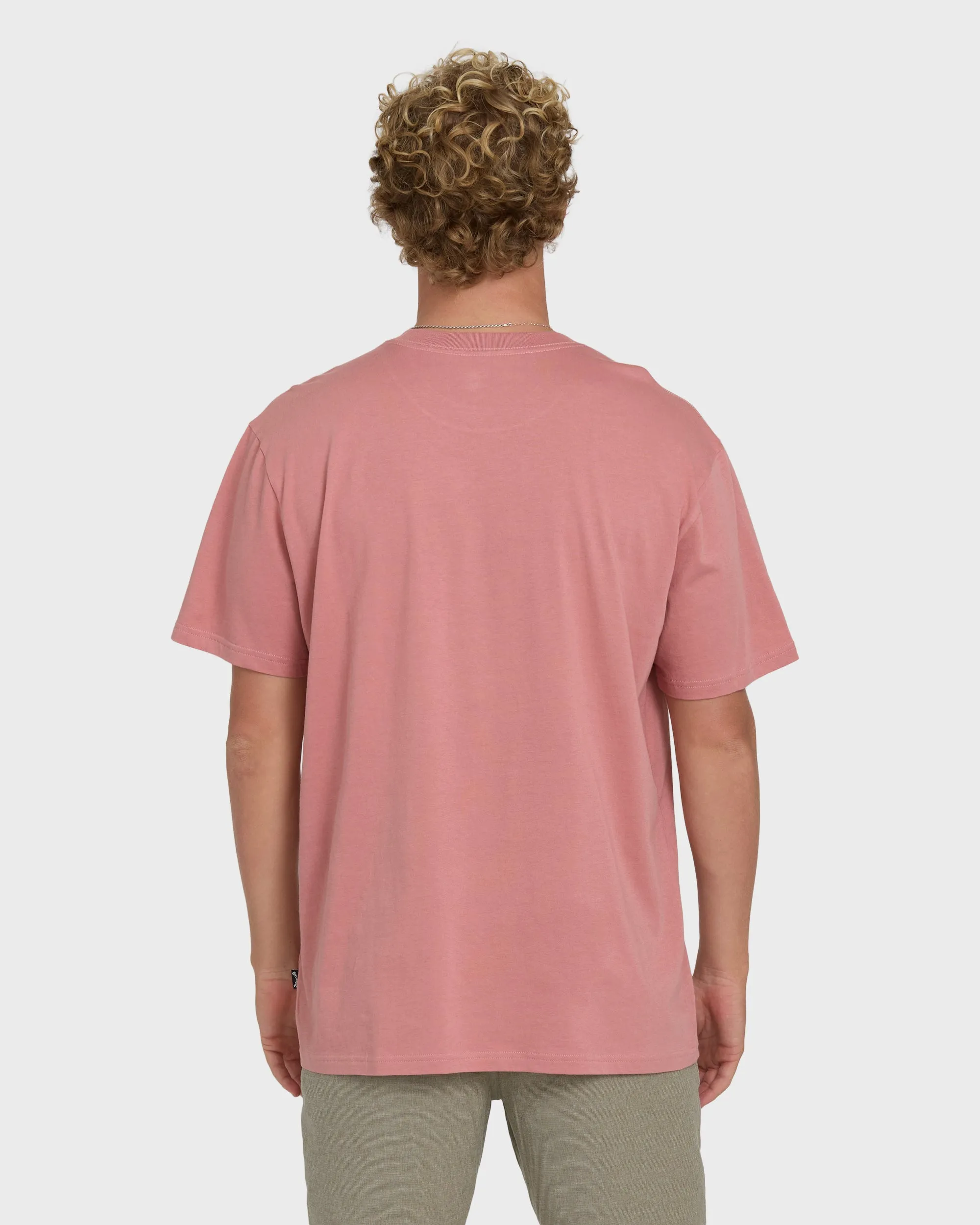 Check Out Premium Short Sleeve Knit T-Shirt - Ash Rose sold by Billabong product image thumbnail 2
