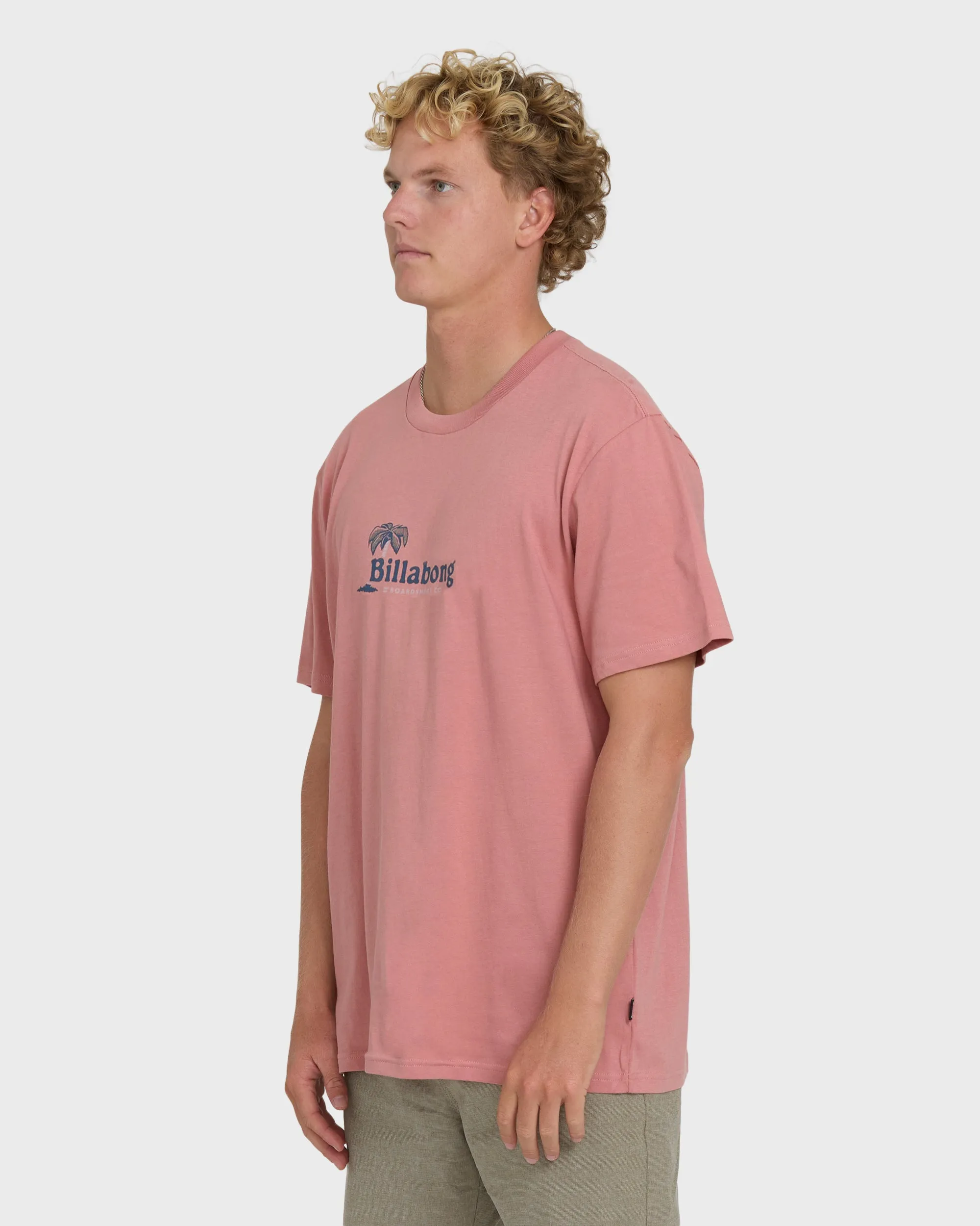 Check Out Premium Short Sleeve Knit T-Shirt - Ash Rose sold by Billabong product image thumbnail 3