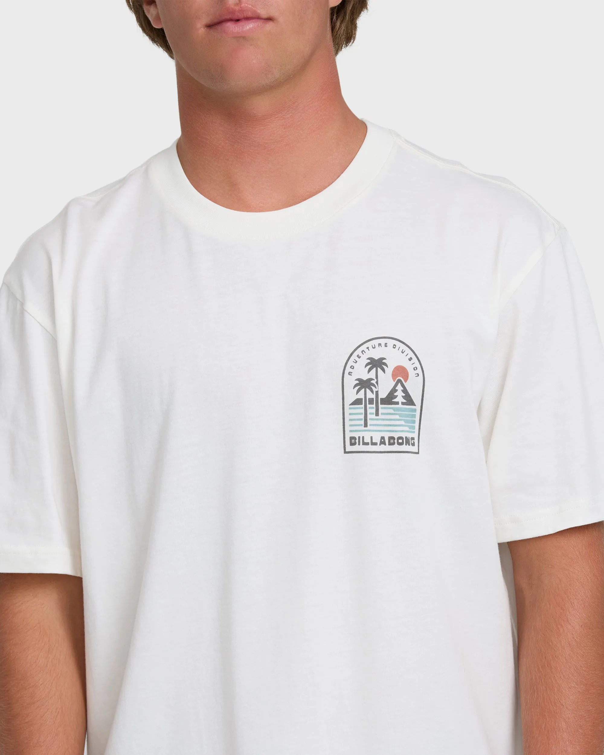 A/Div Sun Down Premium Short Sleeve Knit T-Shirt - Off White sold by Billabong product image thumbnail 5
