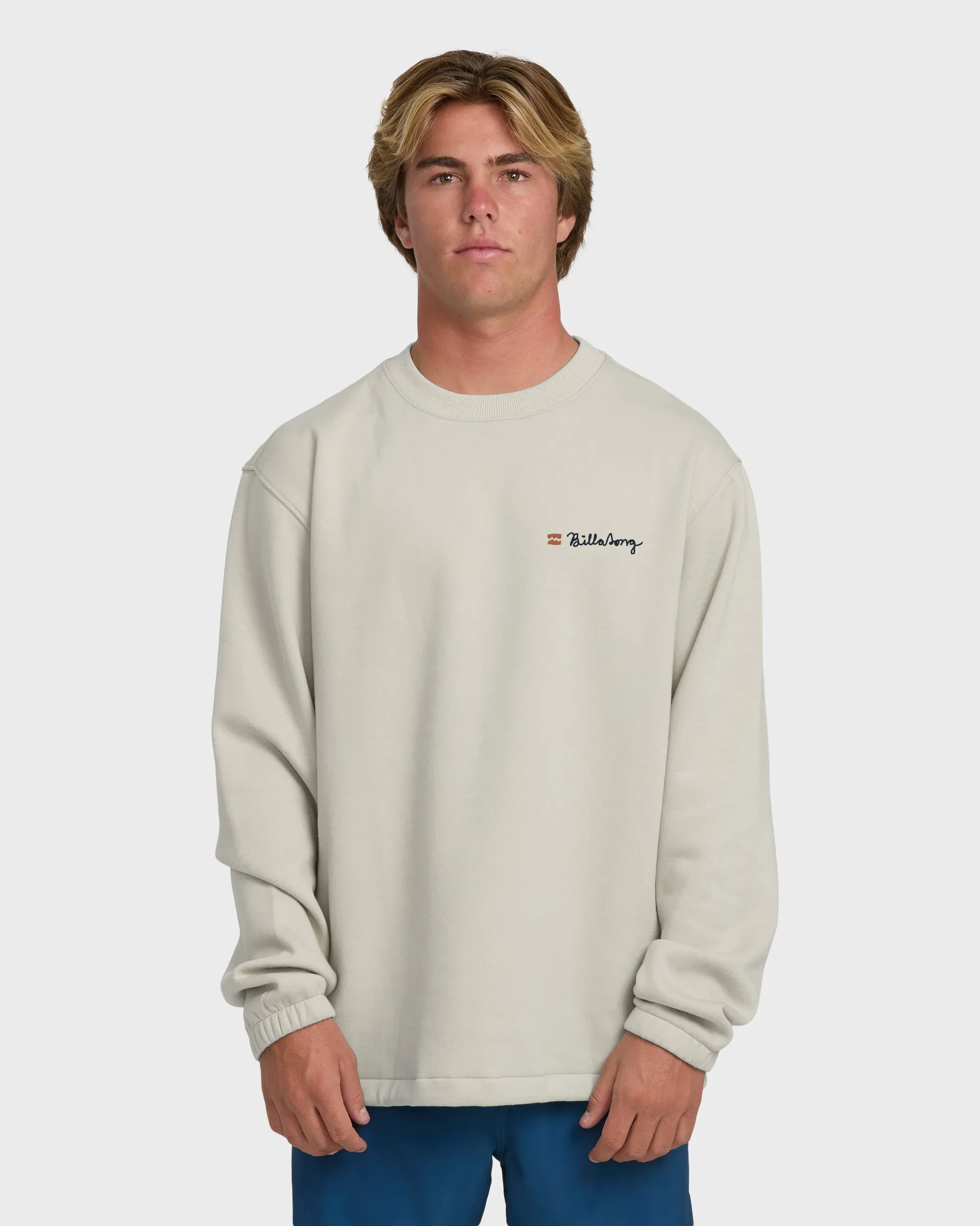 Compass Crewneck Sweatshirt - Dove sold by Billabong