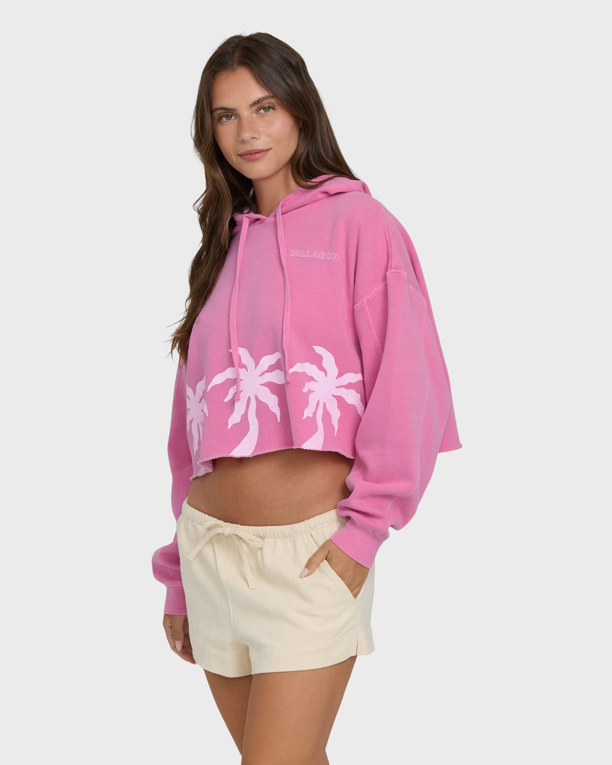 Palmer Hood Pullover Hoodie - Guava sold by Billabong product image thumbnail 3