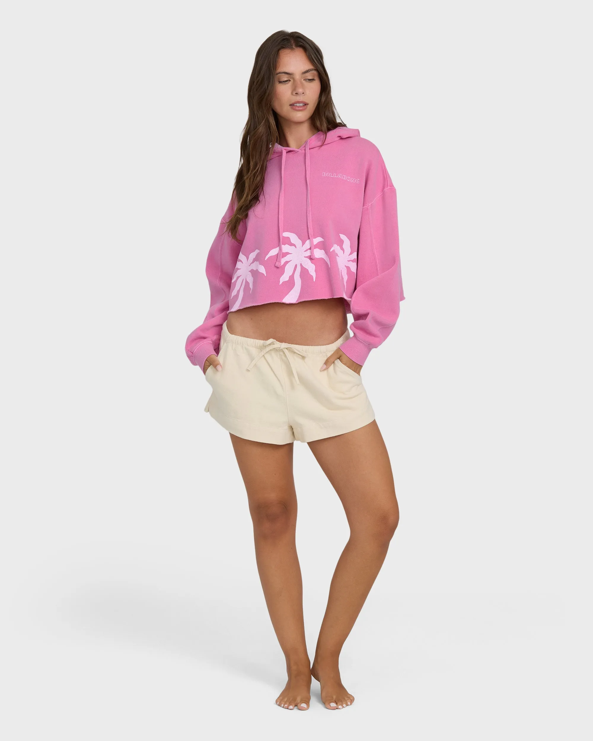 Palmer Hood Pullover Hoodie - Guava sold by Billabong product image thumbnail 4