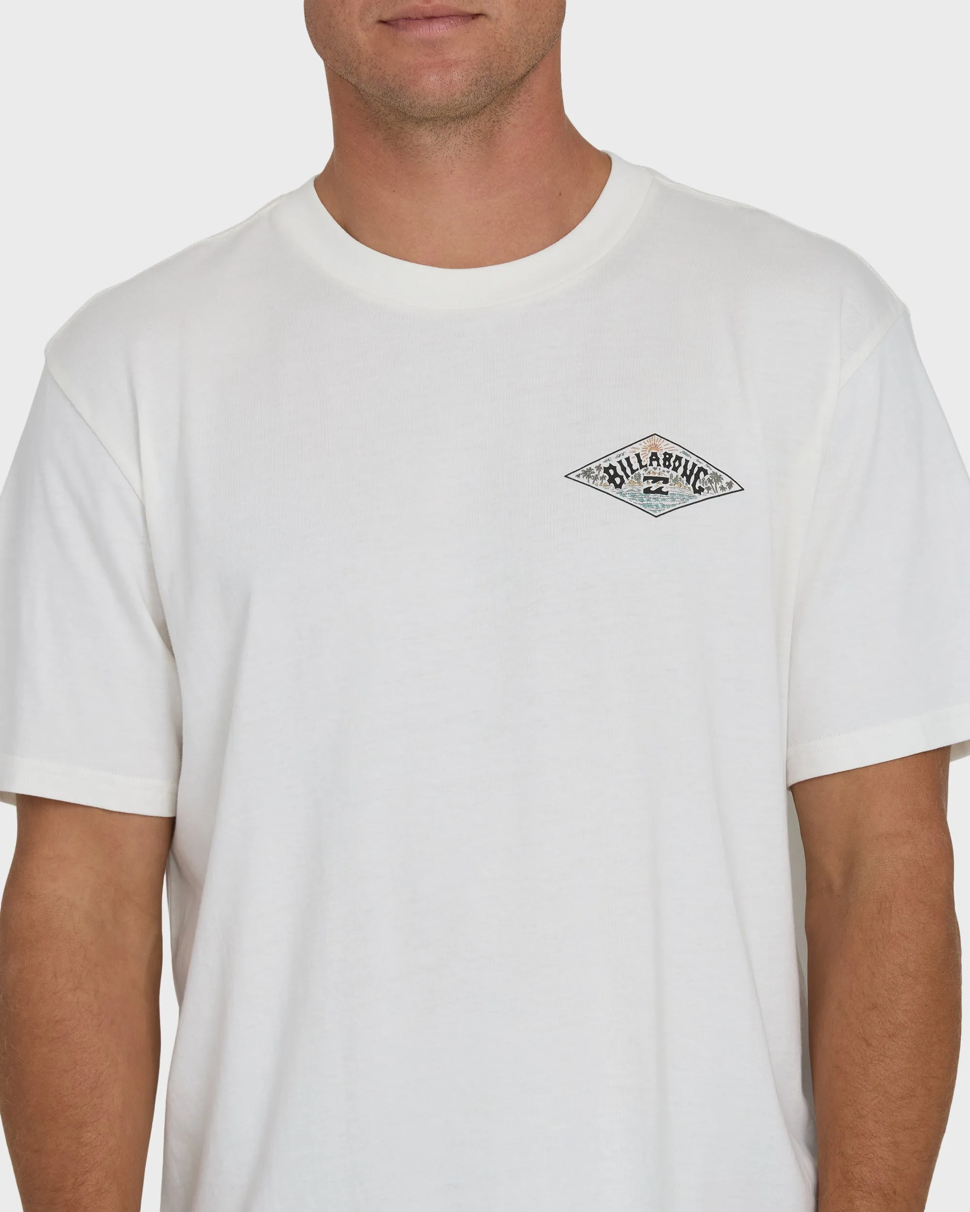 A/Div Arch Premium Short Sleeve Knit T-Shirt - Off White sold by Billabong product image thumbnail 5