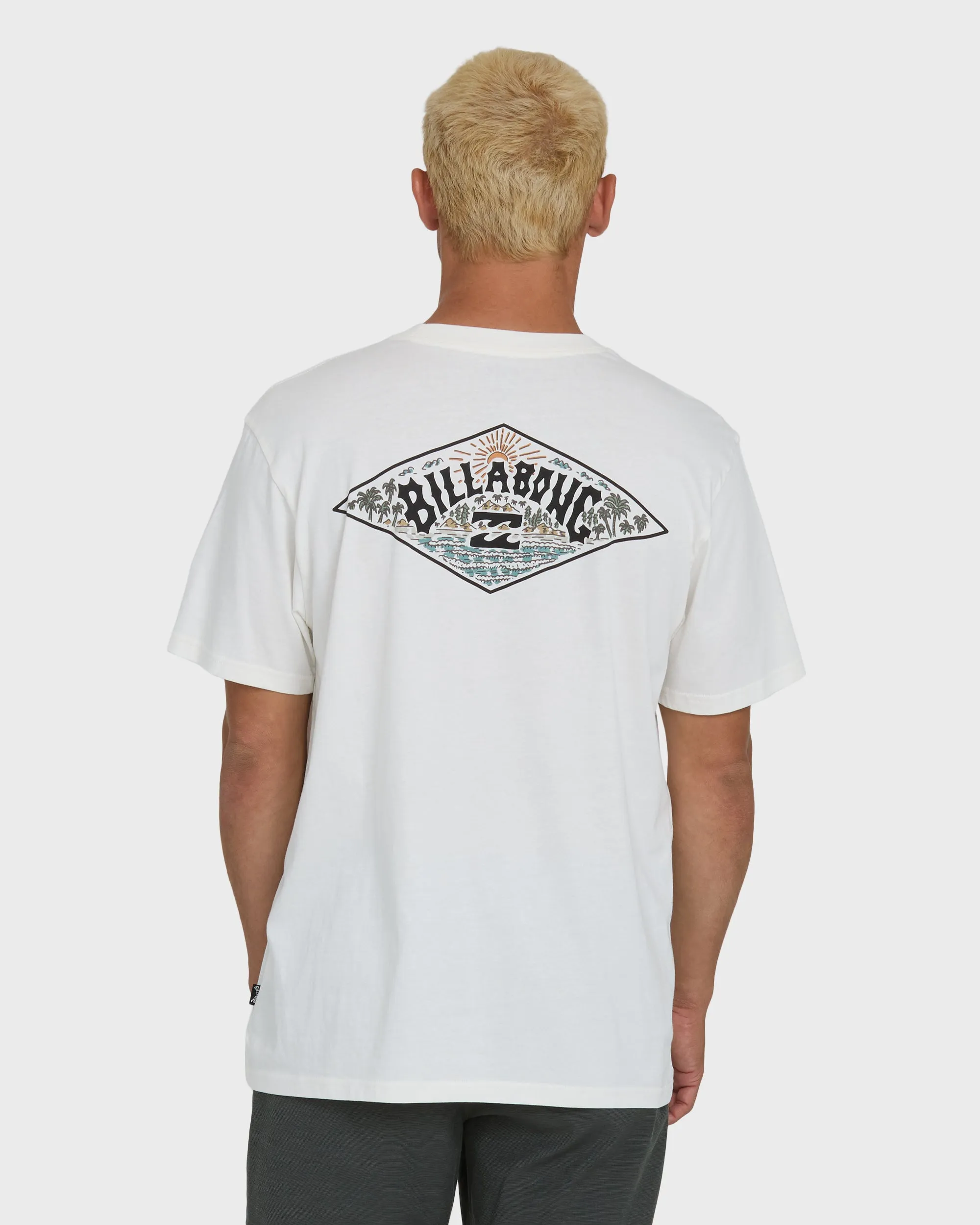 A/Div Arch Premium Short Sleeve Knit T-Shirt - Off White sold by Billabong product image thumbnail 2