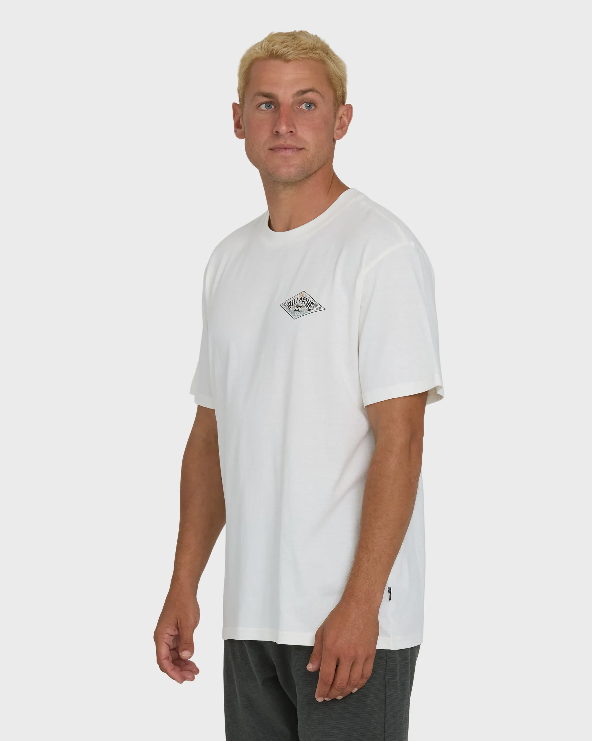 A/Div Arch Premium Short Sleeve Knit T-Shirt - Off White sold by Billabong product image thumbnail 3