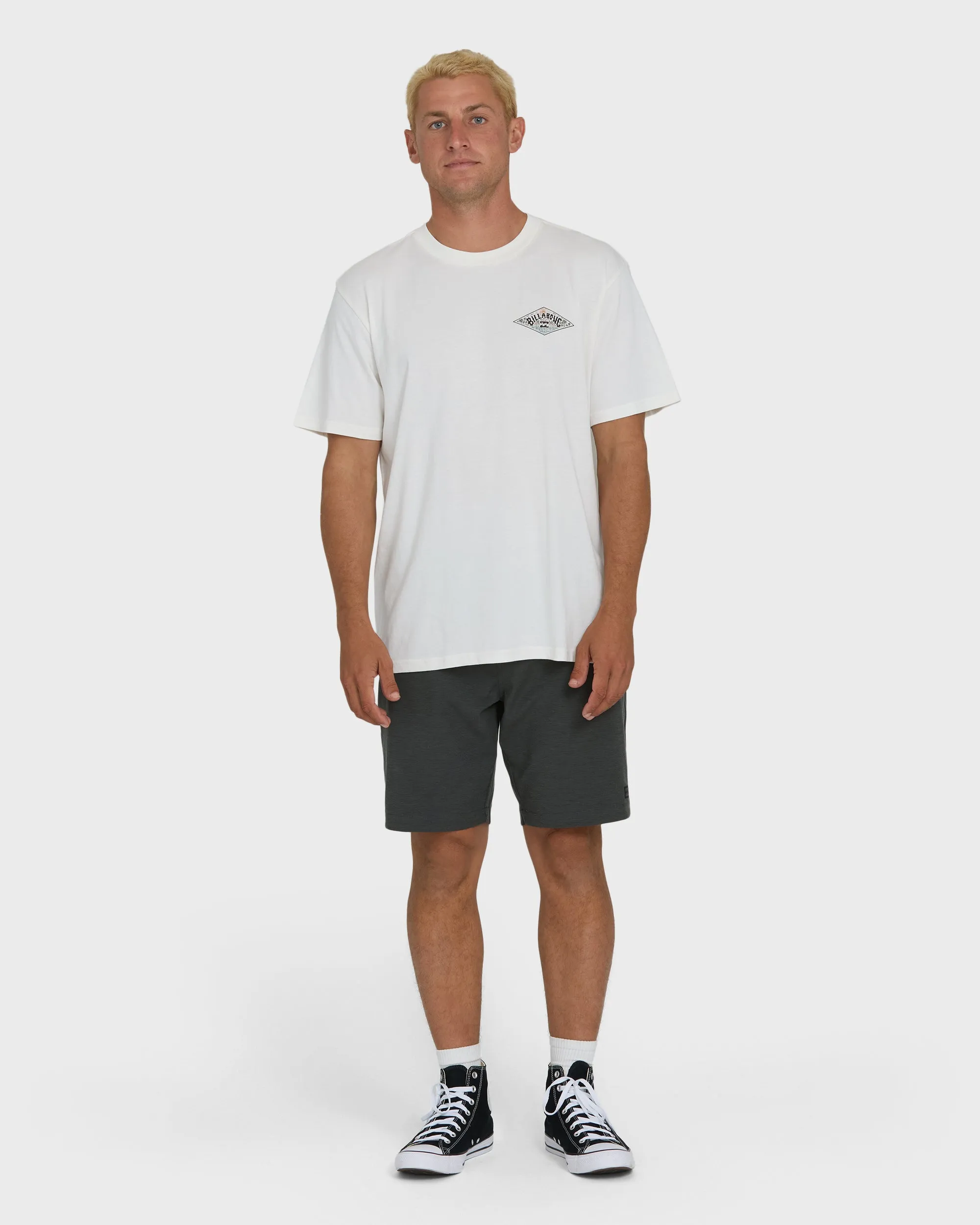 A/Div Arch Premium Short Sleeve Knit T-Shirt - Off White sold by Billabong product image thumbnail 4