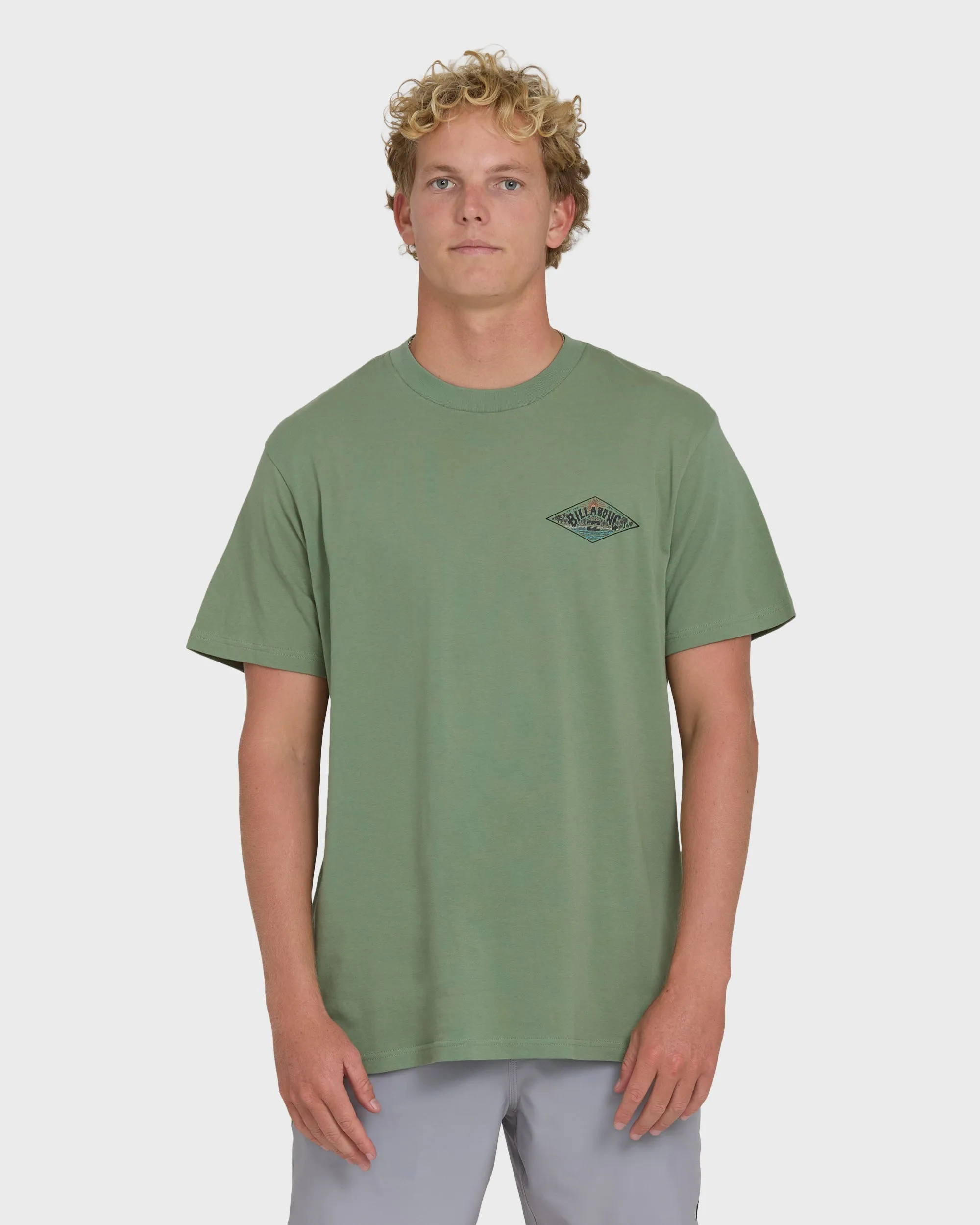 A/Div Arch Premium Short Sleeve Knit T-Shirt - Hedge Green sold by Billabong