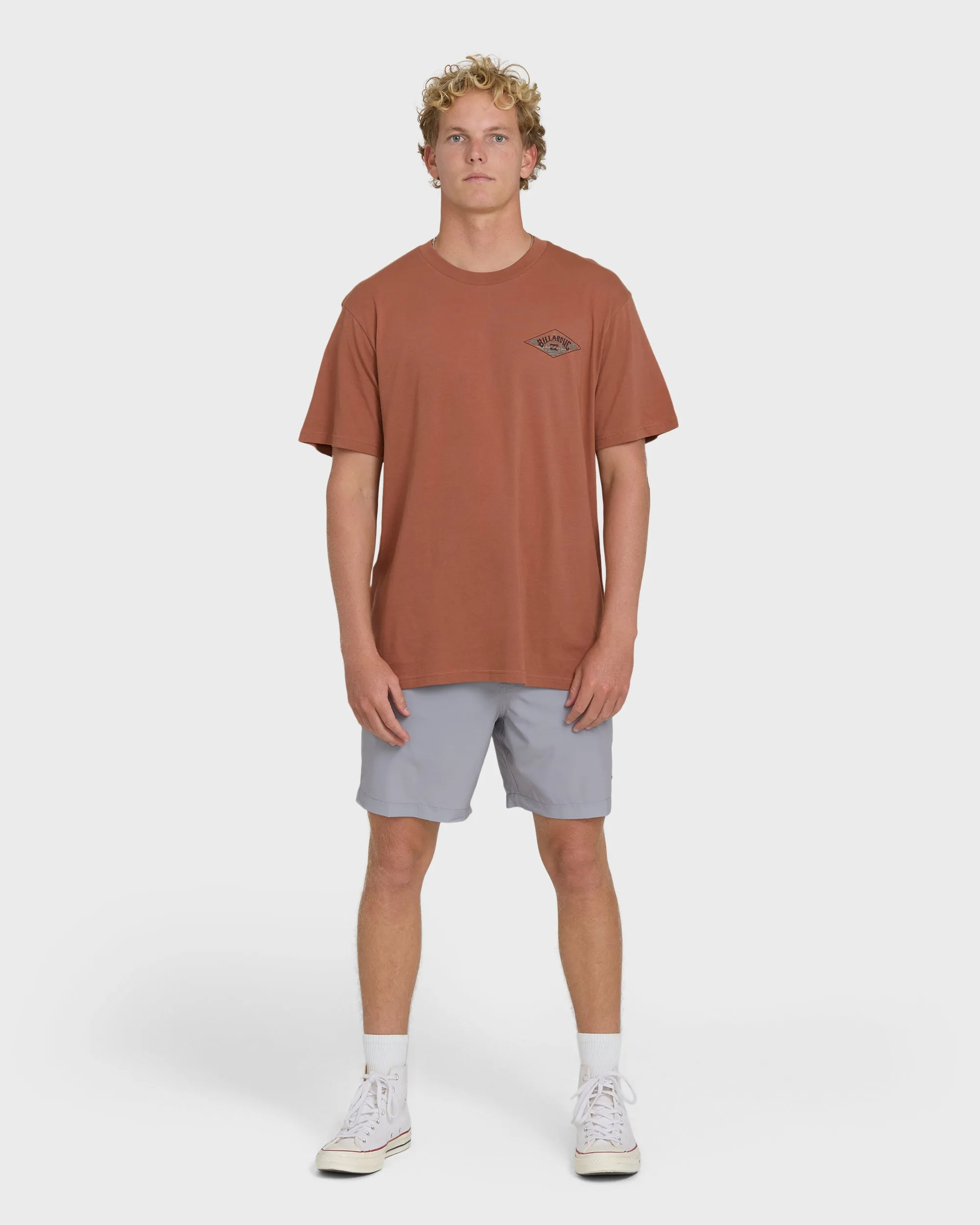 A/Div Arch Premium Short Sleeve Knit T-Shirt - Cedar Wood sold by Billabong product image thumbnail 4