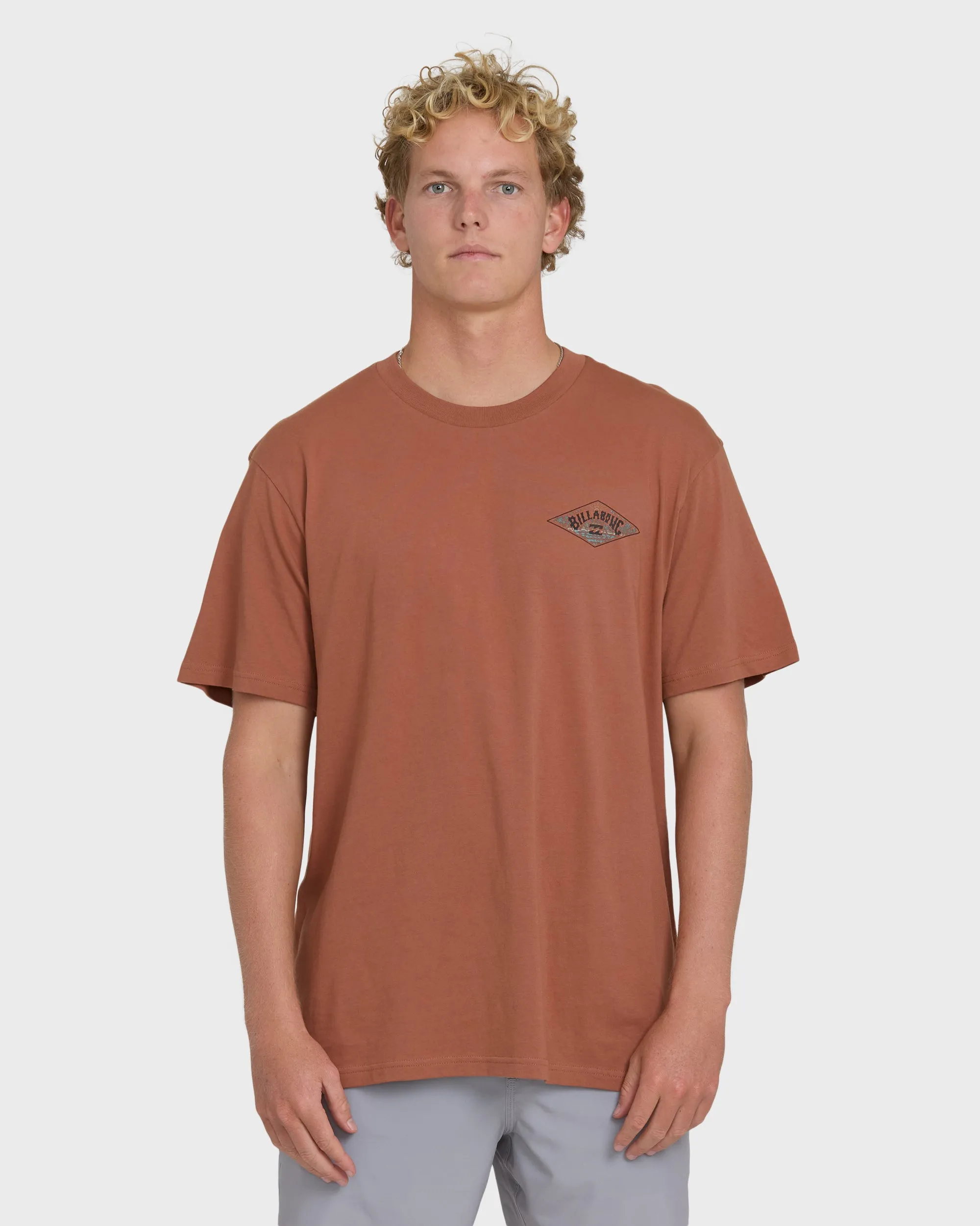 A/Div Arch Premium Short Sleeve Knit T-Shirt - Cedar Wood sold by Billabong