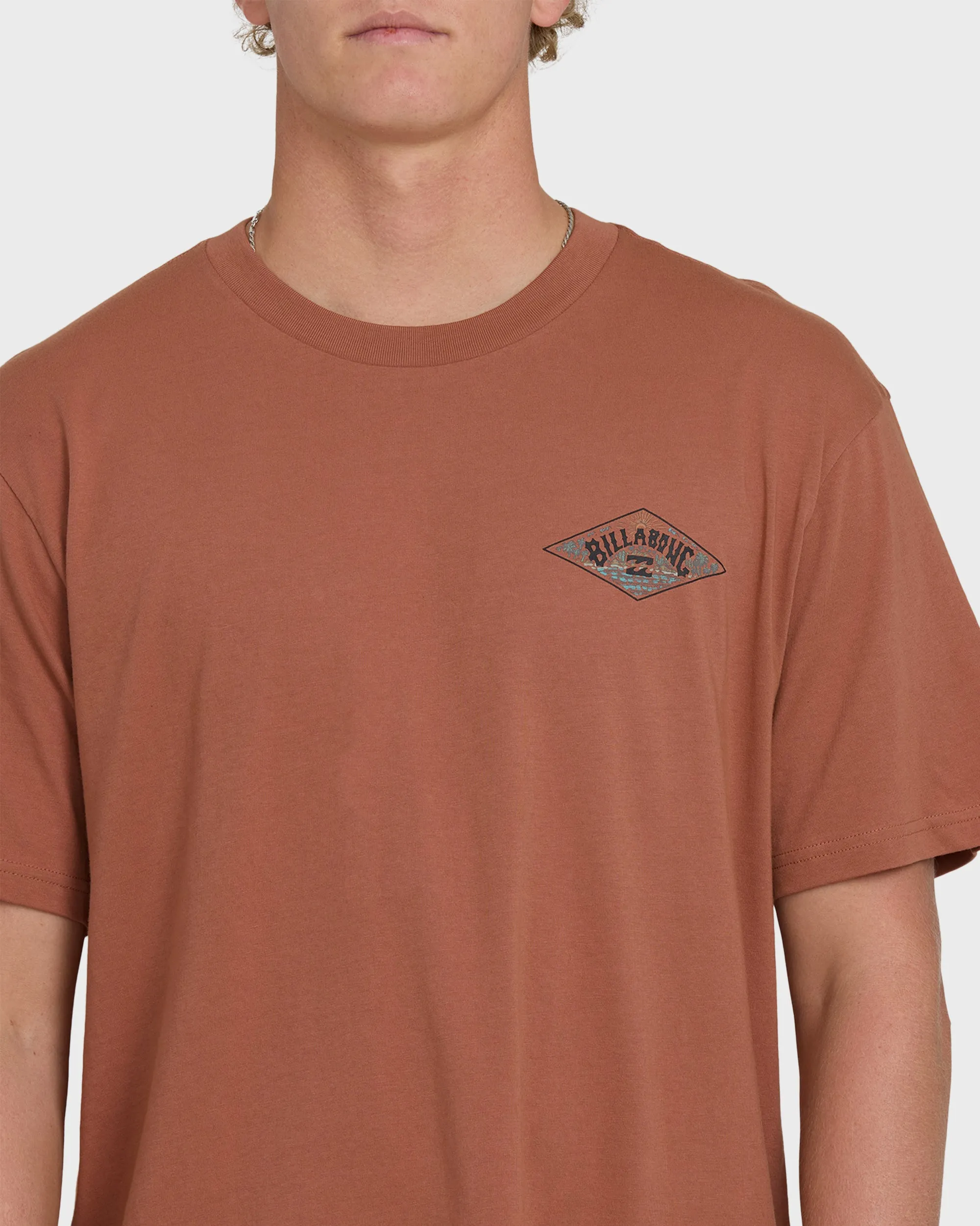 A/Div Arch Premium Short Sleeve Knit T-Shirt - Cedar Wood sold by Billabong product image thumbnail 5