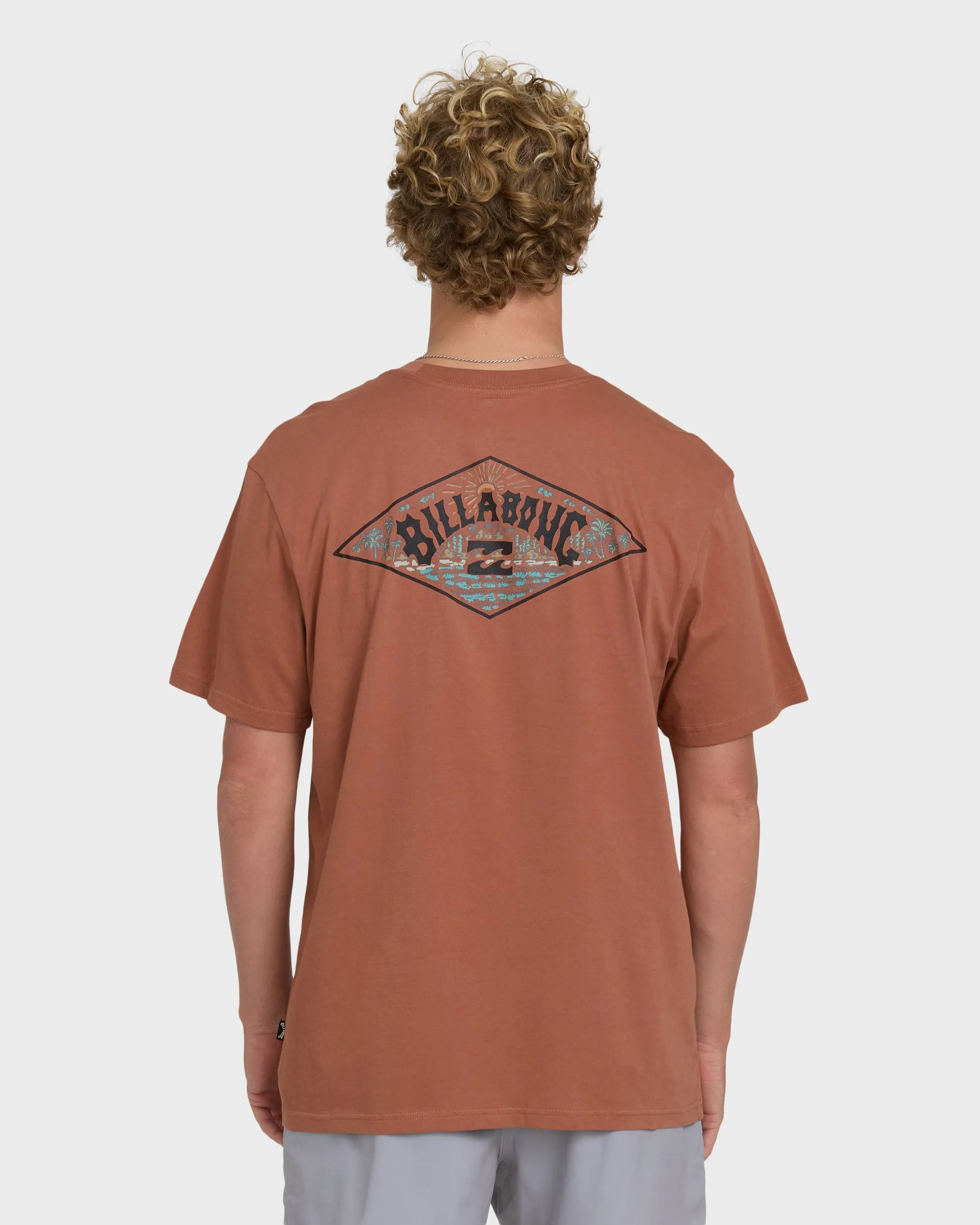 A/Div Arch Premium Short Sleeve Knit T-Shirt - Cedar Wood sold by Billabong product image thumbnail 2
