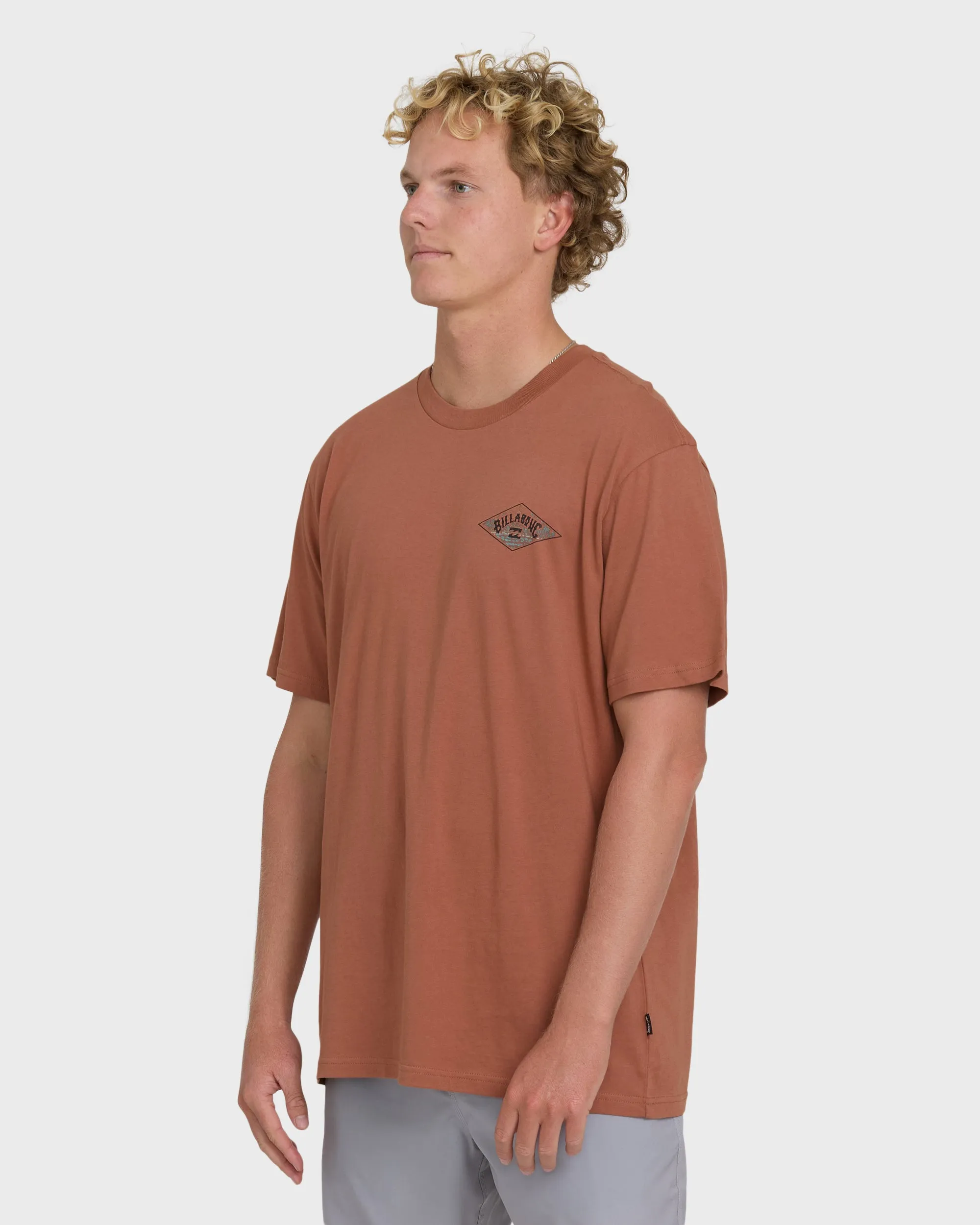 A/Div Arch Premium Short Sleeve Knit T-Shirt - Cedar Wood sold by Billabong product image thumbnail 3