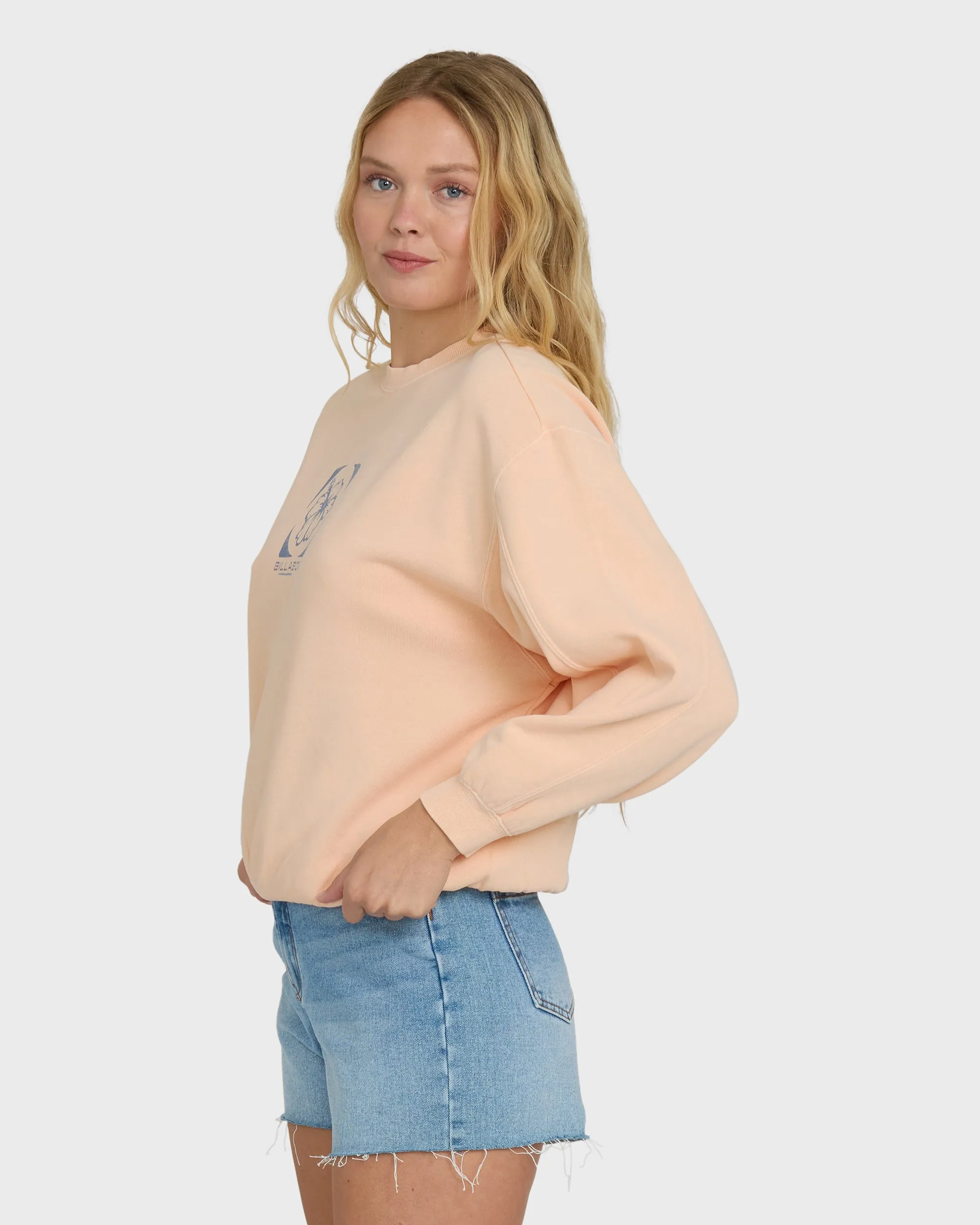 Treasure Cay Hawaii Crewneck Sweatshirt - Leprechaun sold by Billabong product image thumbnail 3