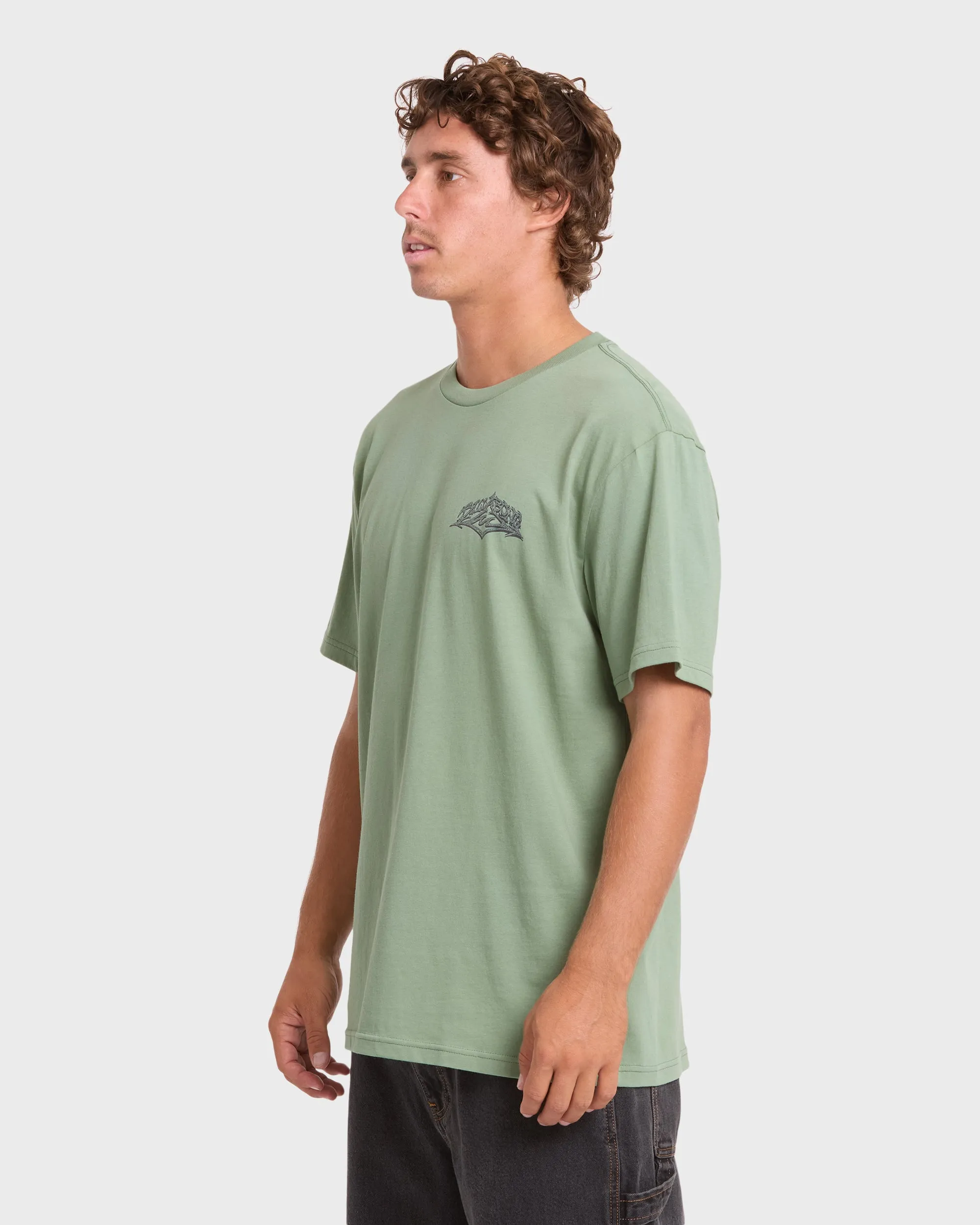 Reverse Premium Short Sleeve Cotton T-Shirt - Hedge Green sold by Billabong product image thumbnail 4