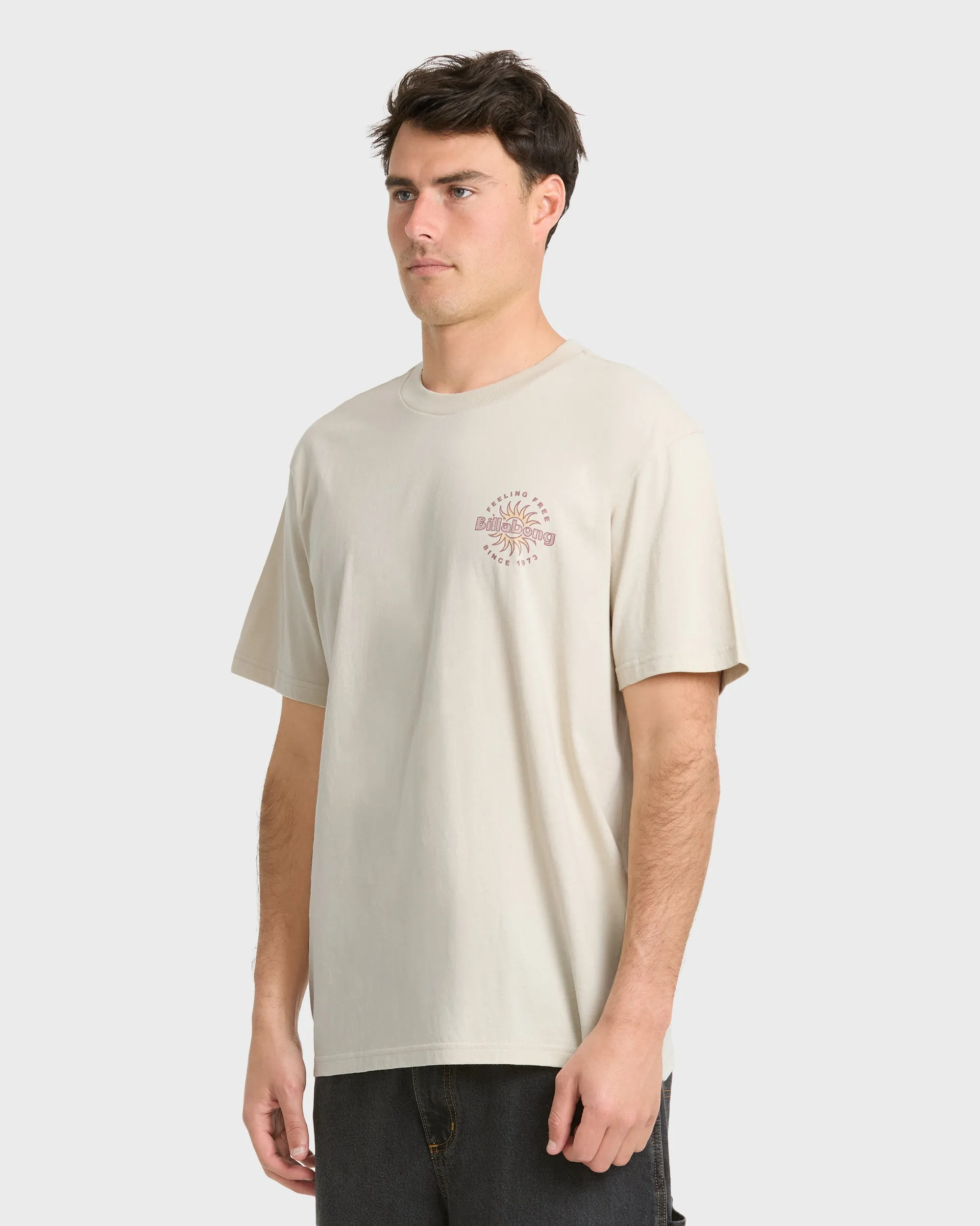 Single Fin Premium Short Sleeve Knit T-Shirt - Oatmeal sold by Billabong product image thumbnail 4