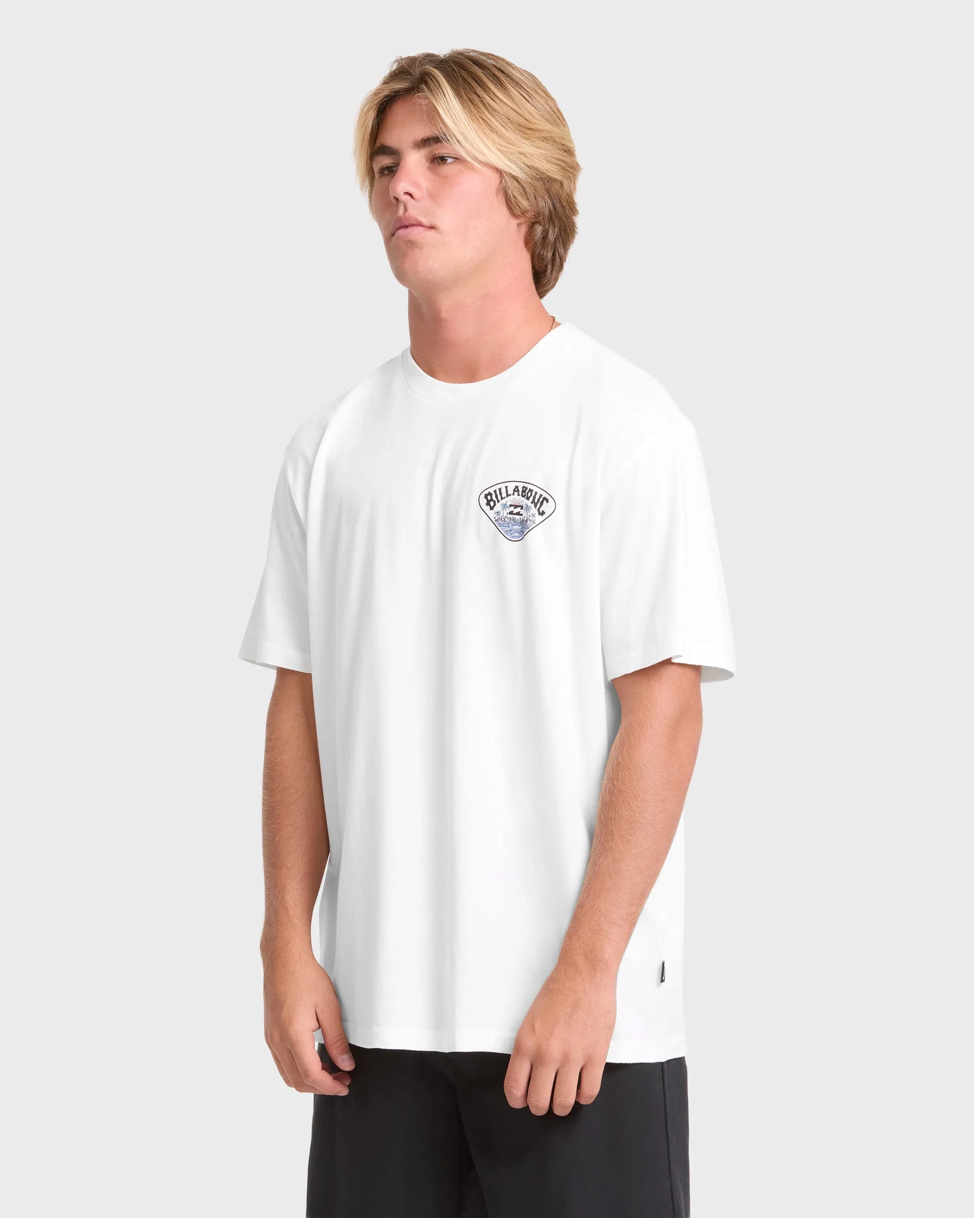 Scenic Arch Adventure Division Premium Short Sleeve Knit T-Shirt - Off White sold by Billabong product image thumbnail 4