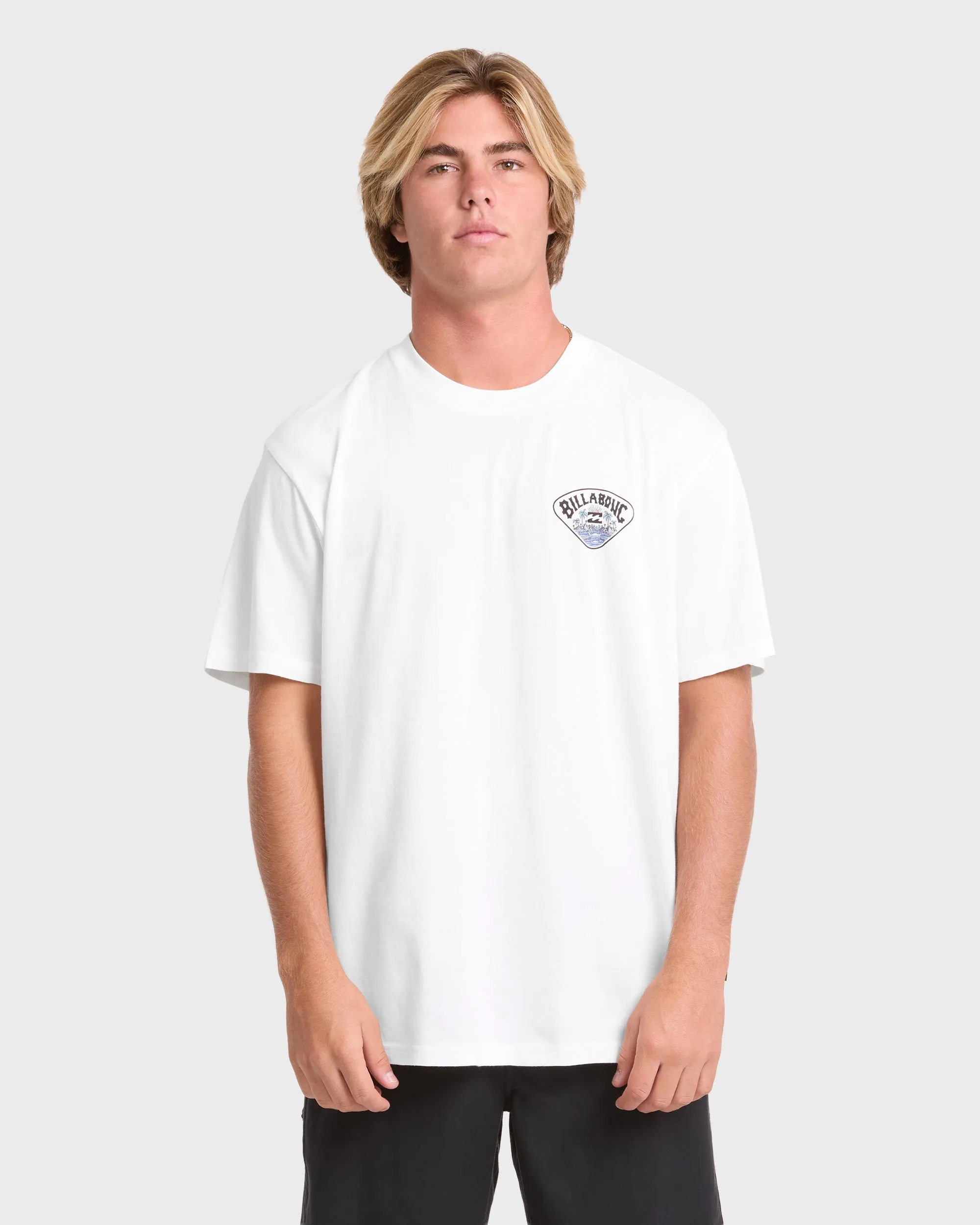 Scenic Arch Adventure Division Premium Short Sleeve Knit T-Shirt - Off White sold by Billabong product image thumbnail 2