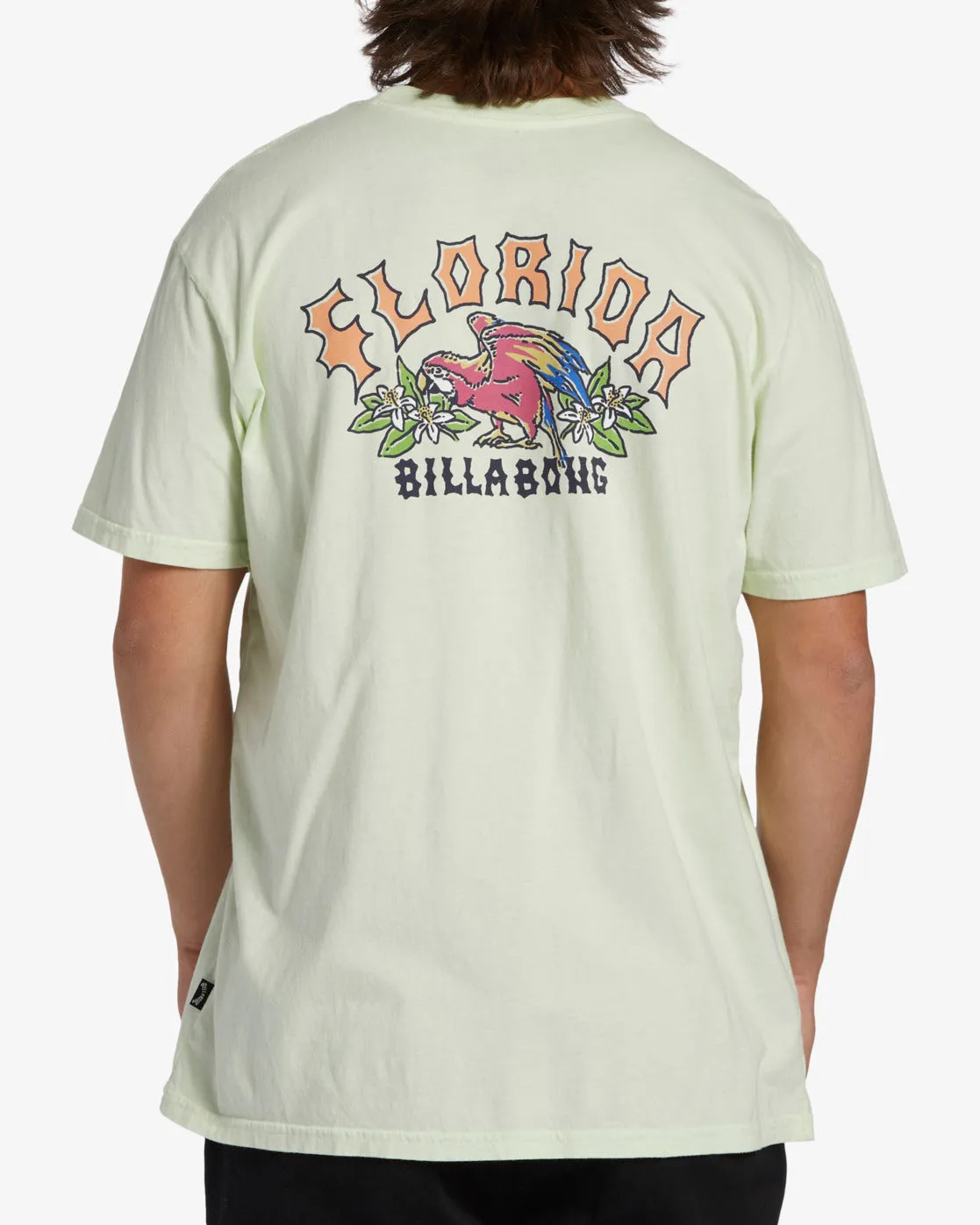 Arch Florida T-Shirt - Mint Cream sold by Billabong