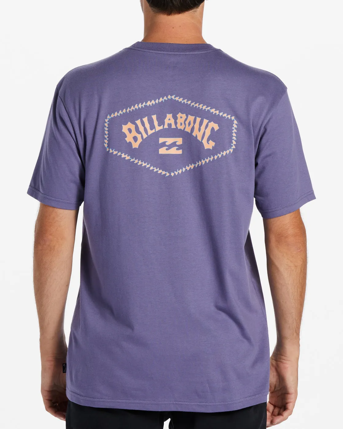 Exit Arch T-Shirt - Dusty Grape sold by Billabong