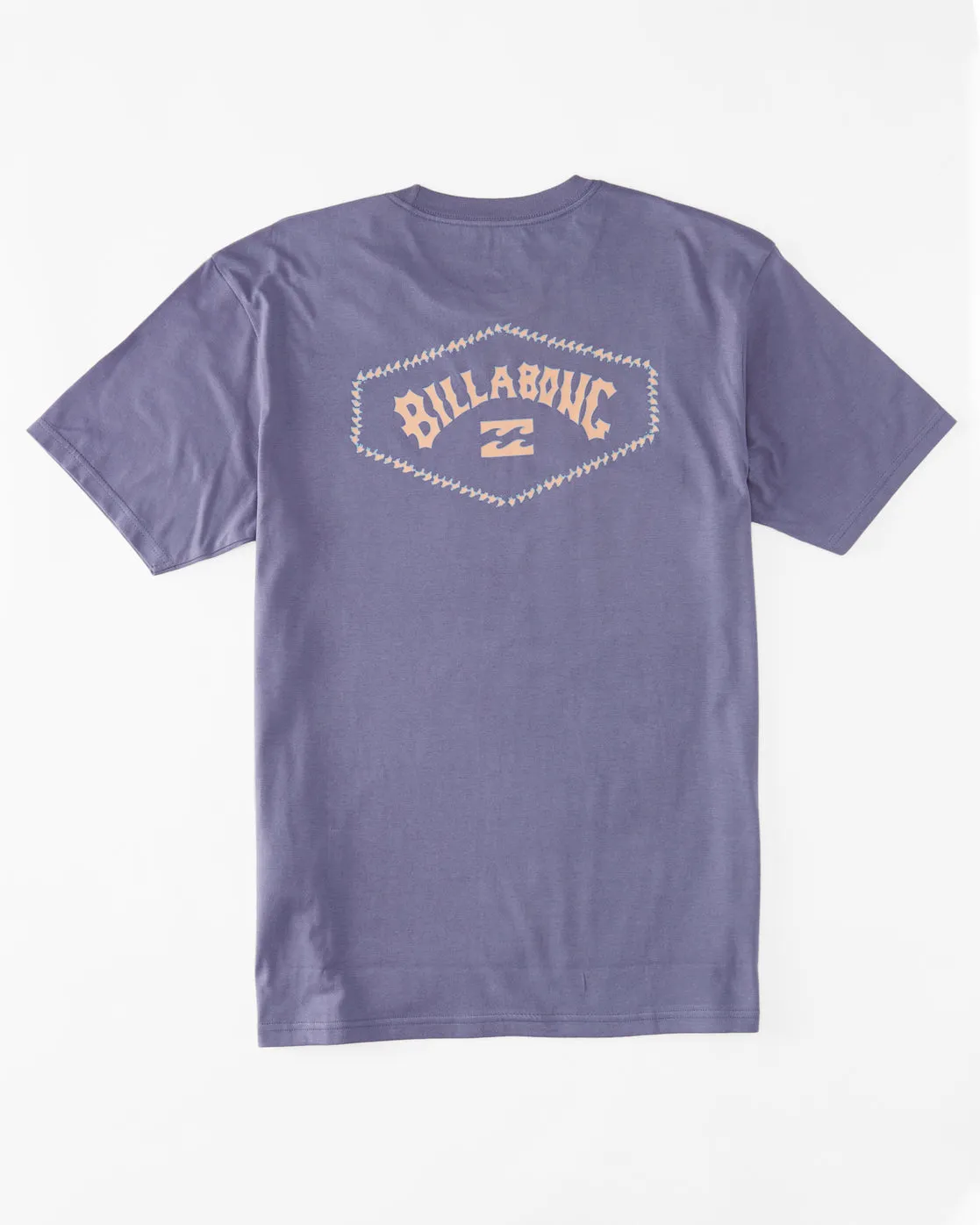 Exit Arch T-Shirt - Dusty Grape sold by Billabong product image thumbnail 4