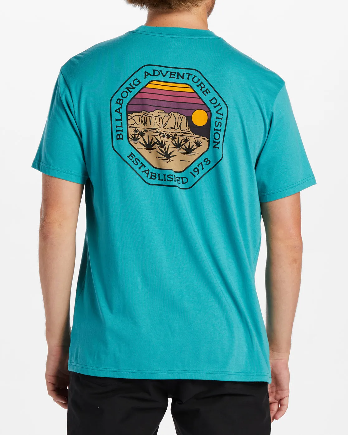 Rockies T-Shirt - Seagreen sold by Billabong
