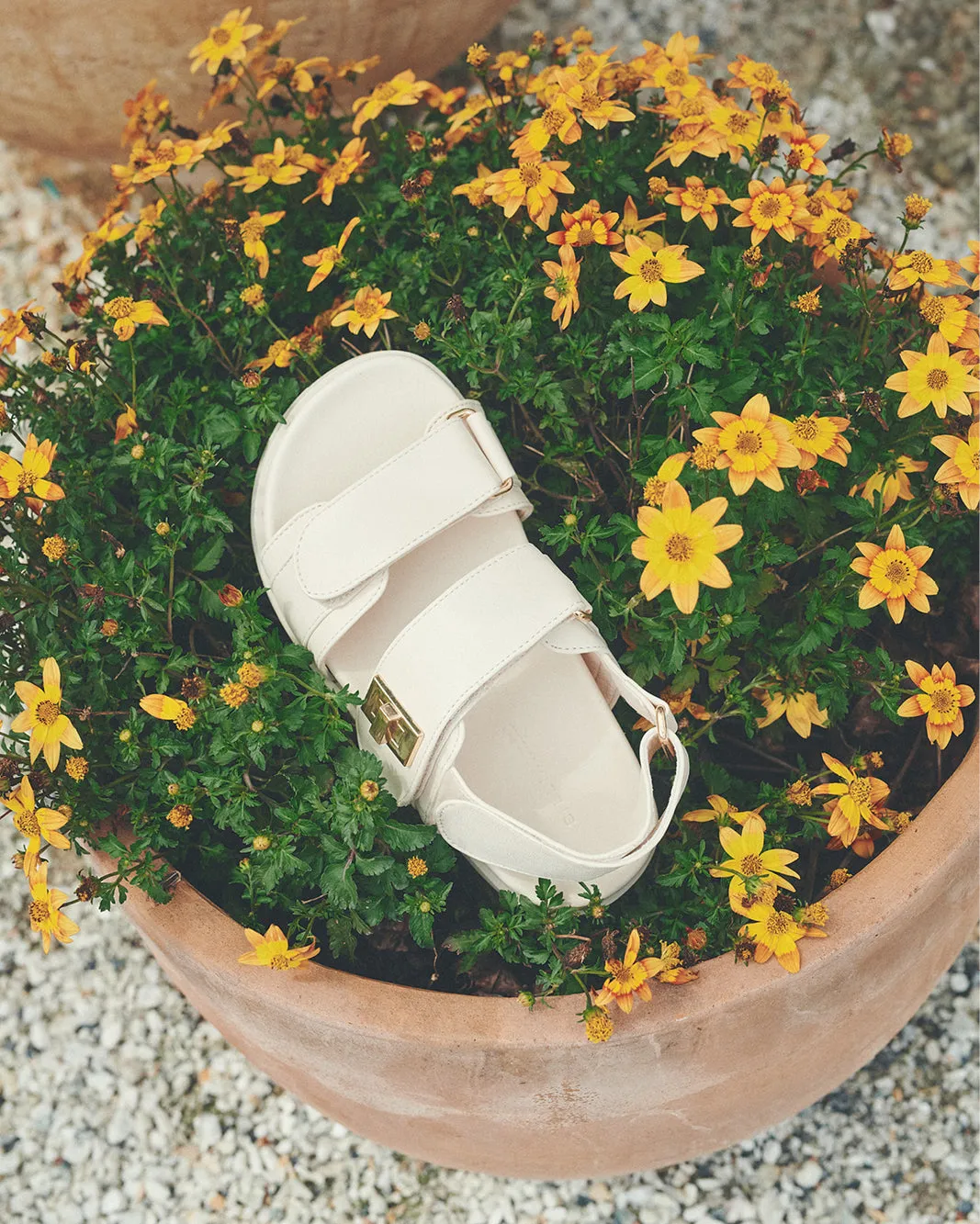 ALVINA MINI - BONE sold by Billini product image thumbnail 3