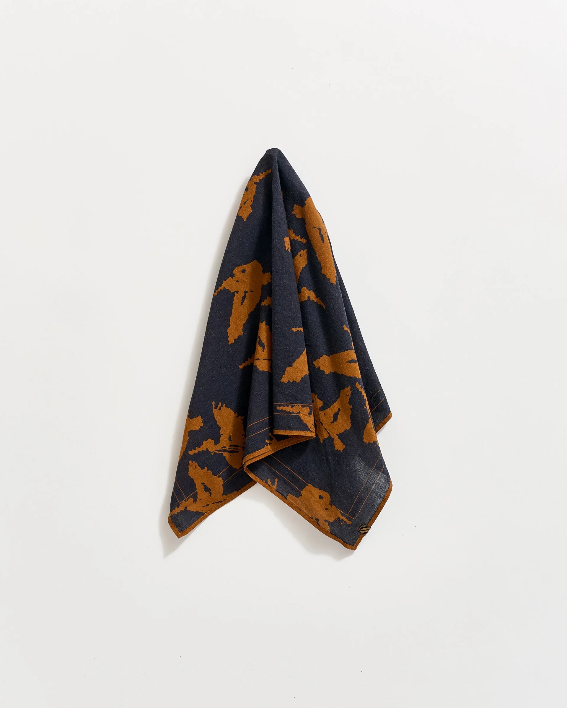 Pelican Bandana sold by Billy Reid product image thumbnail 3