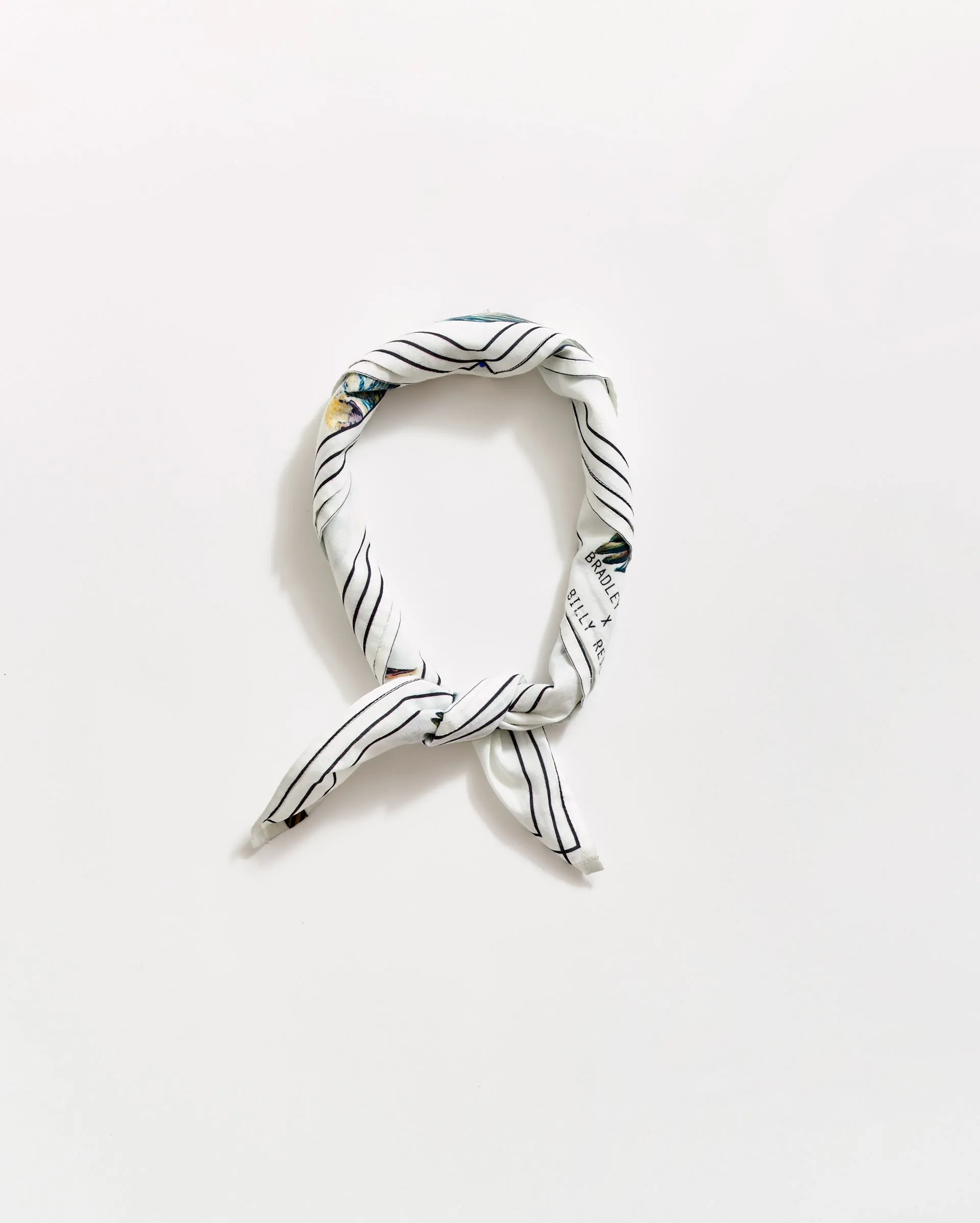 Bradley Gordon Pelican Bandana sold by Billy Reid product image thumbnail 3