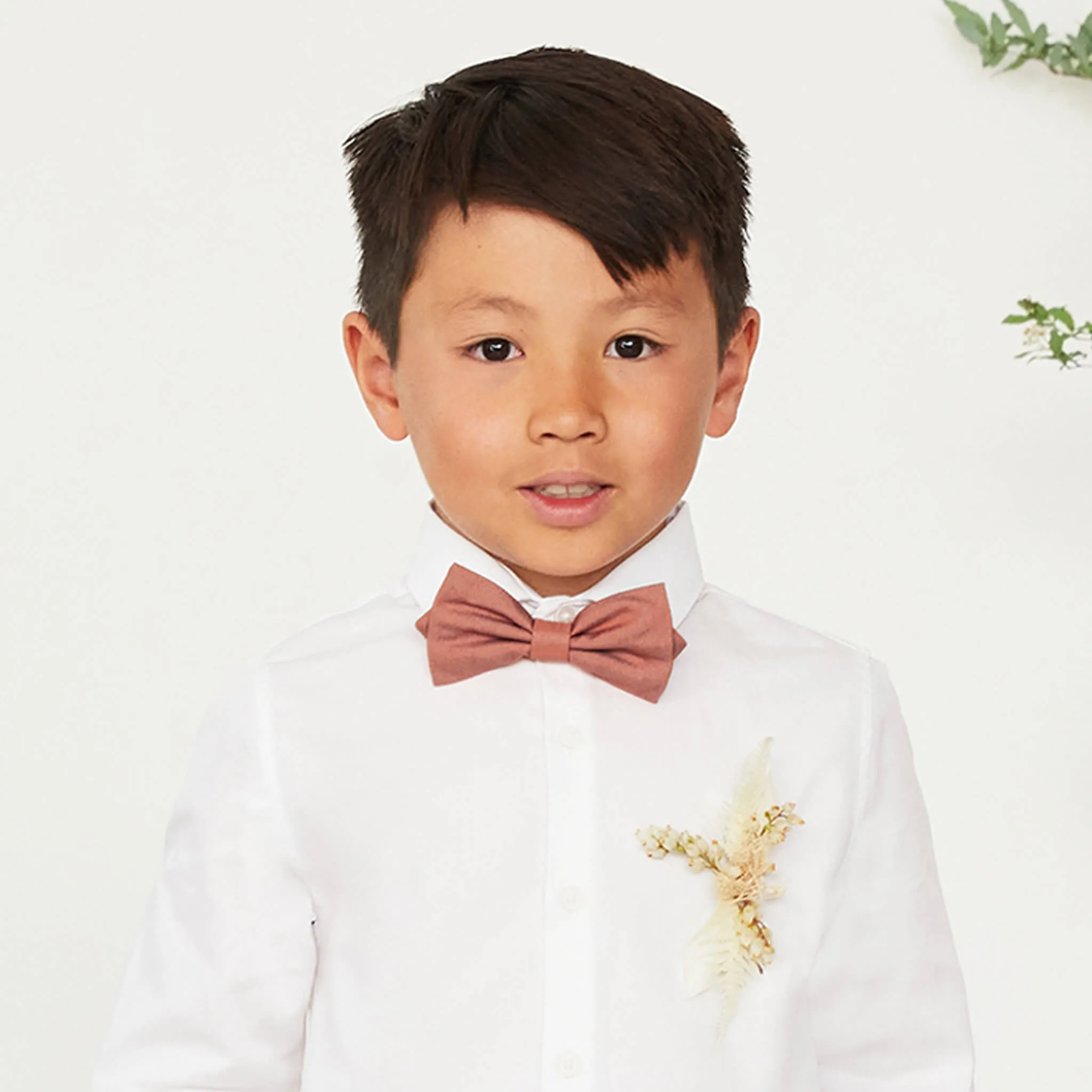 Harry Bow Tie - Desert Rose sold by Birdy Grey product image thumbnail 2