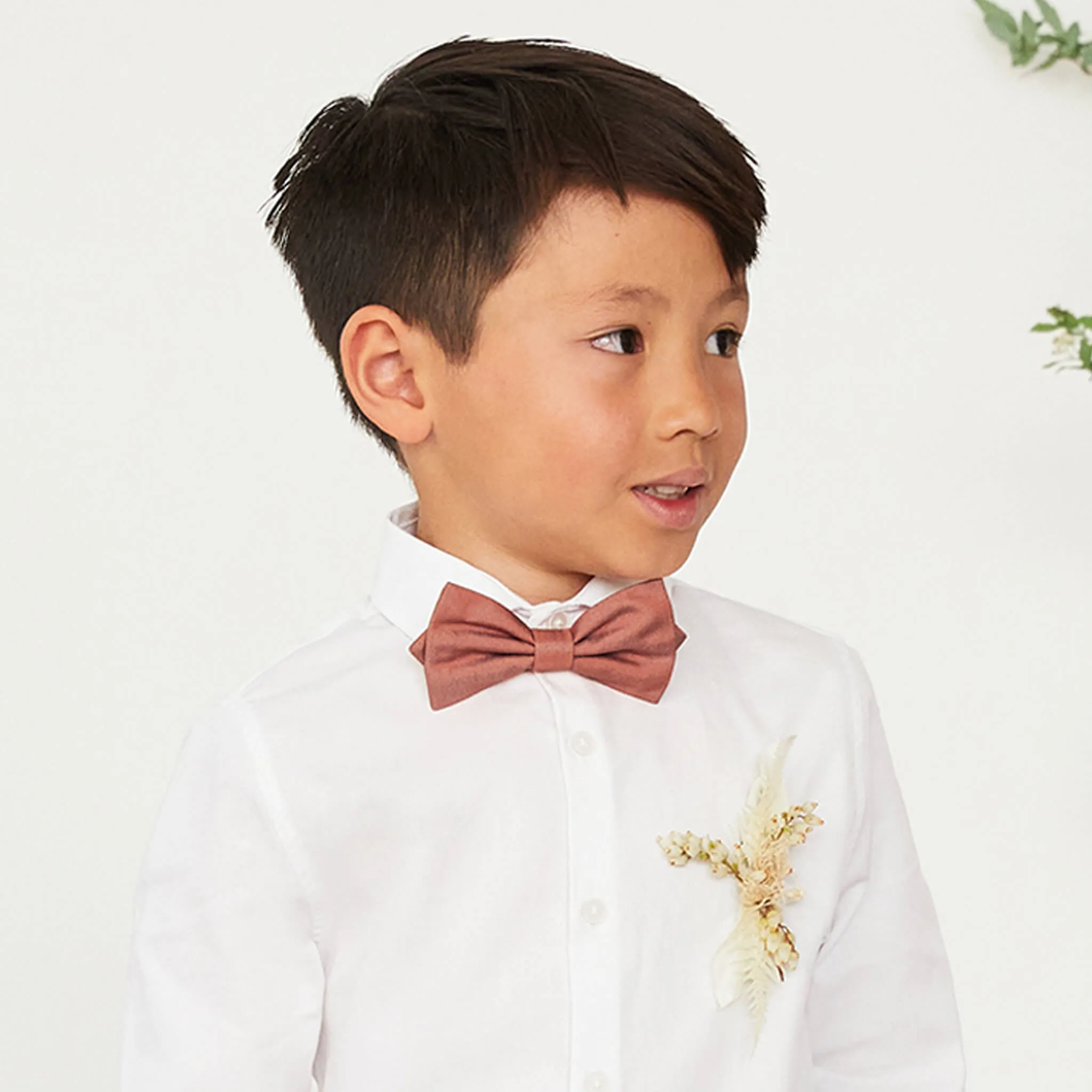 Harry Bow Tie - Desert Rose sold by Birdy Grey product image thumbnail 5