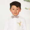 Harry Bow Tie - Taupe sold by Birdy Grey