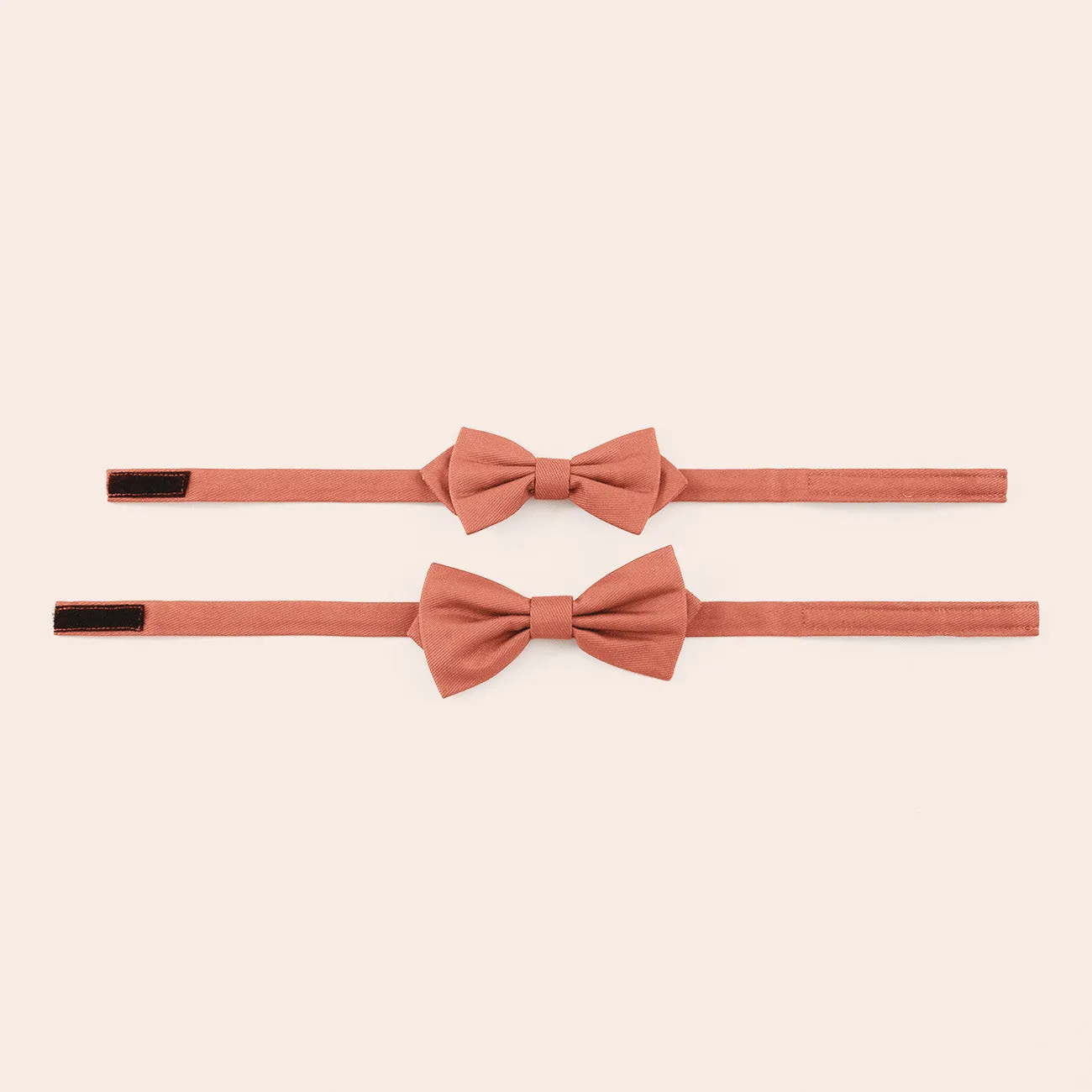 Harry Bow Tie - Terracotta sold by Birdy Grey product image thumbnail 3