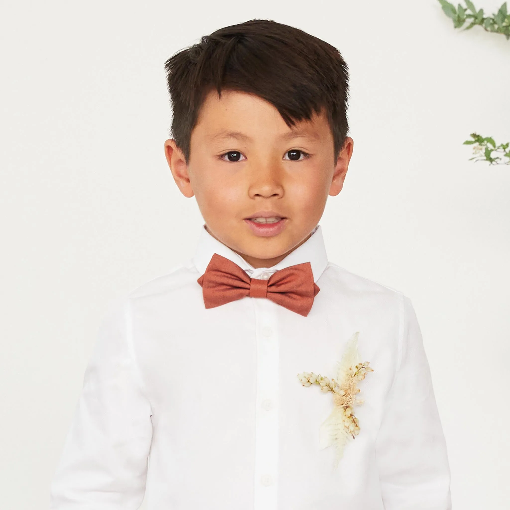 Harry Bow Tie - Terracotta sold by Birdy Grey product image thumbnail 2