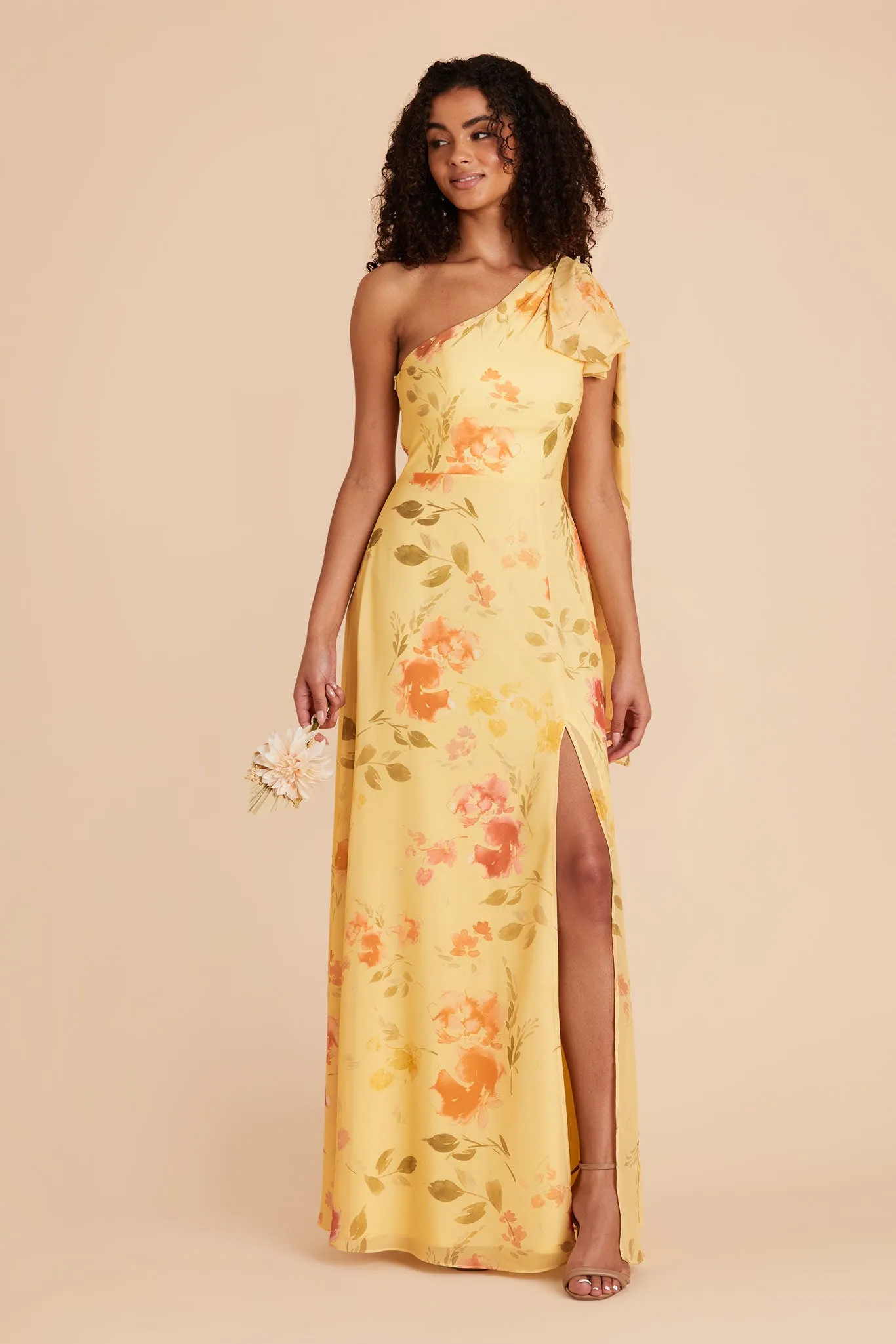 Melissa Chiffon Dress - Pale Yellow Rococo Floral sold by Birdy Grey product image thumbnail 4