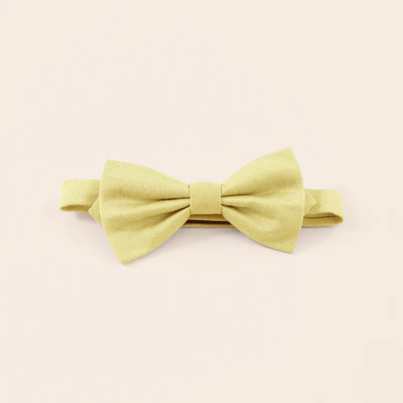 Harry Bow Tie - Lemon Sorbet sold by Birdy Grey