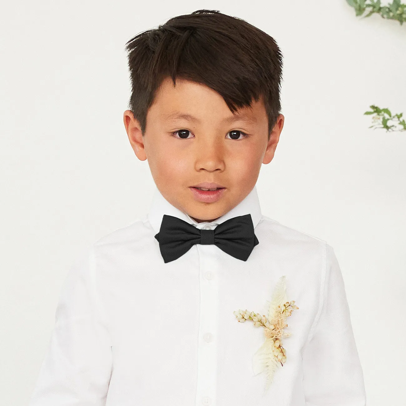 Harry Bow Tie - Black sold by Birdy Grey product image thumbnail 2